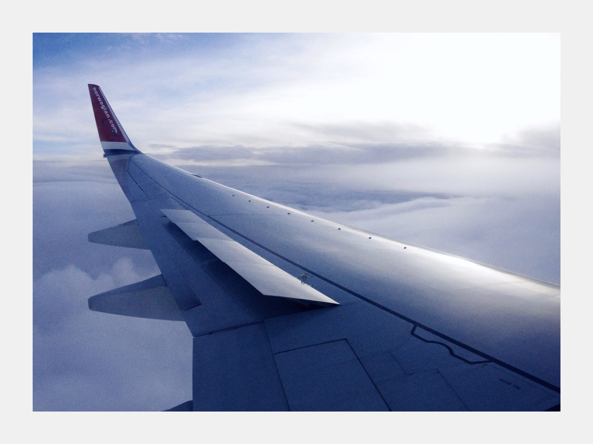 Pentax K-x sample photo. Wing view photography
