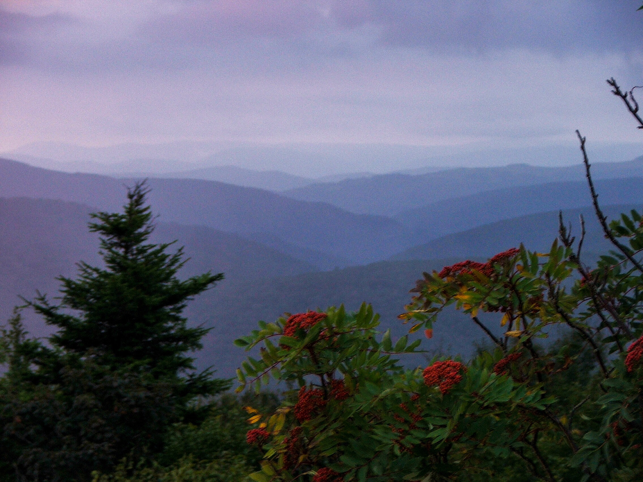 Fujifilm FinePix S5100 sample photo. Before dawn at the dolly sods wilderness area, west virginia, usa photography