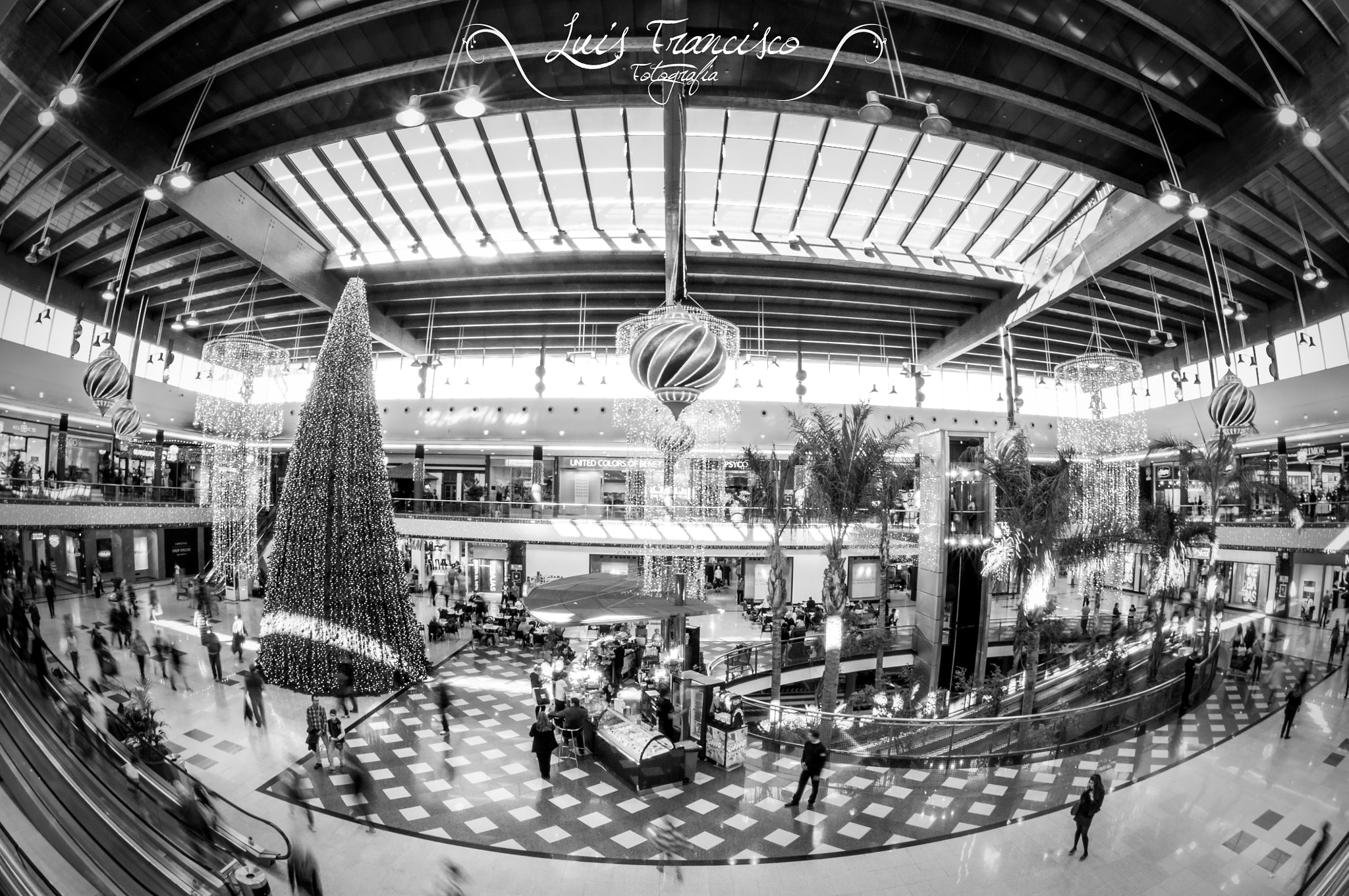 Nikon AF DX Fisheye-Nikkor 10.5mm F2.8G ED sample photo. 9/366 - sales time photography