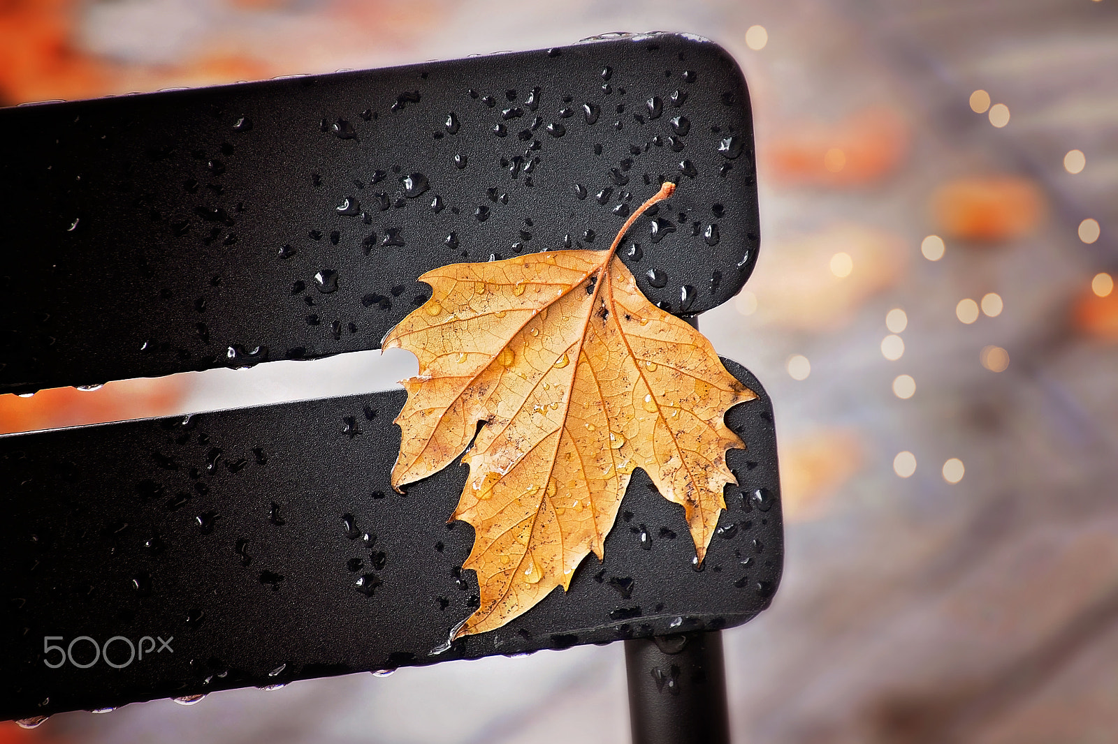 Canon EOS 650D (EOS Rebel T4i / EOS Kiss X6i) sample photo. A rainy windy day photography