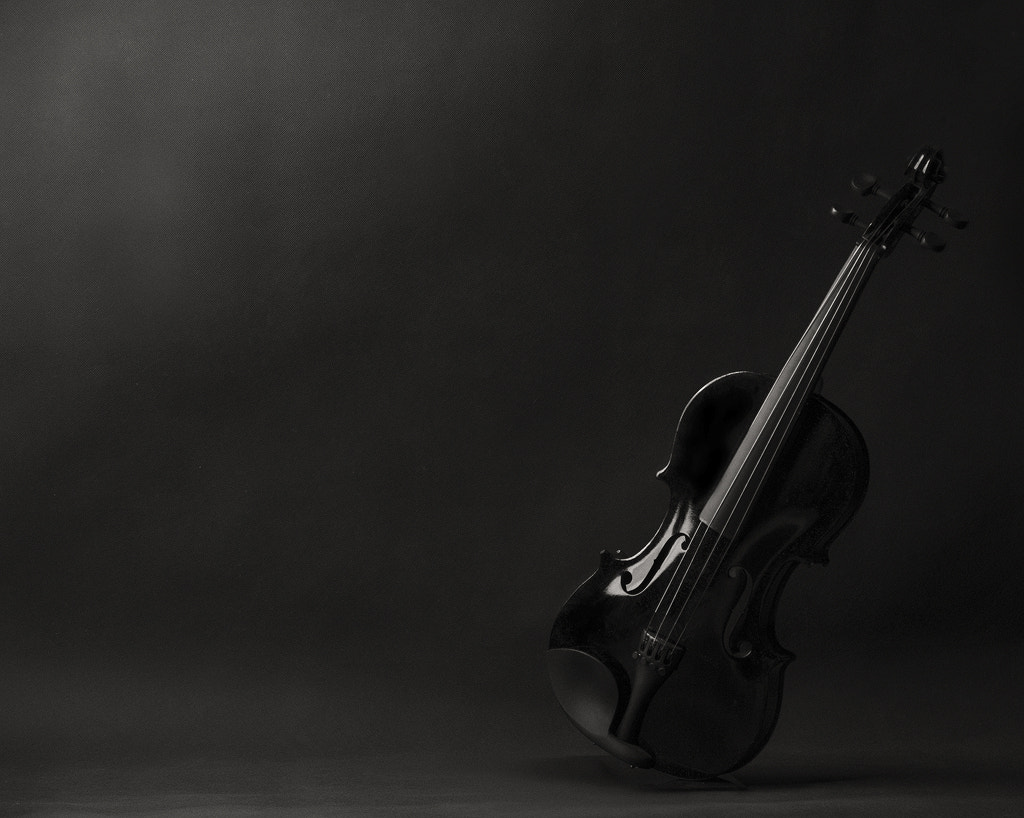 Nikon D300S + Nikon PC-E Nikkor 24mm F3.5D ED Tilt-Shift sample photo. Violin n the dark night ... photography