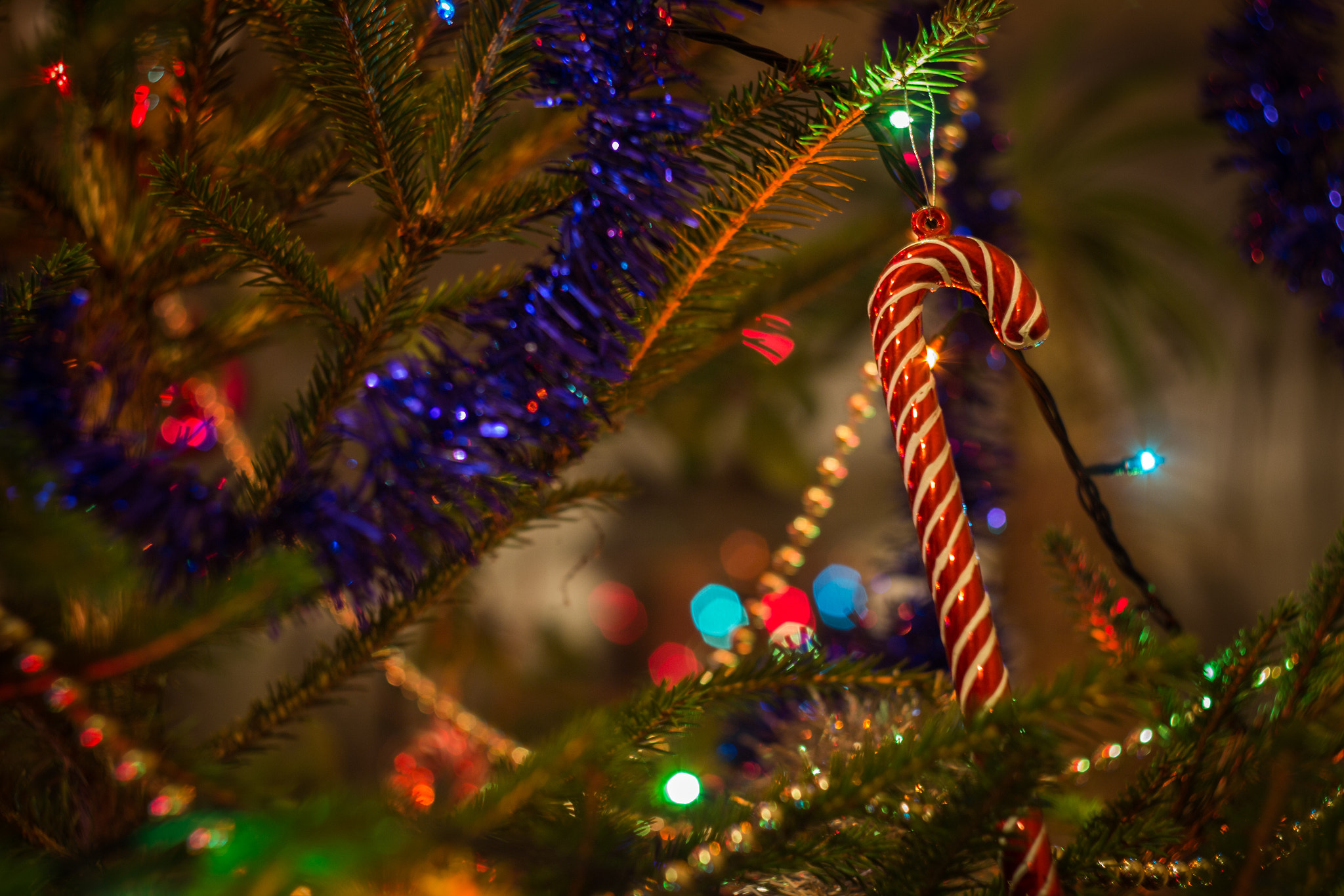 Canon EF 35-80mm f/4-5.6 sample photo. X-mas candy photography
