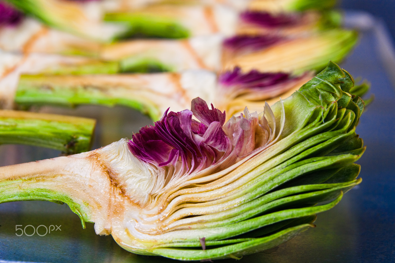 Sigma 17-70mm F2.8-4 DC Macro OS HSM sample photo. Cut artichoke photography