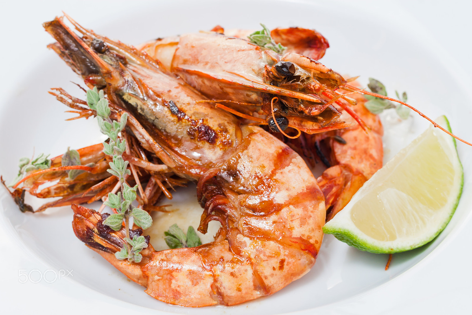 Canon EOS 30D + Canon EF 50mm F1.8 II sample photo. Three shrimps photography