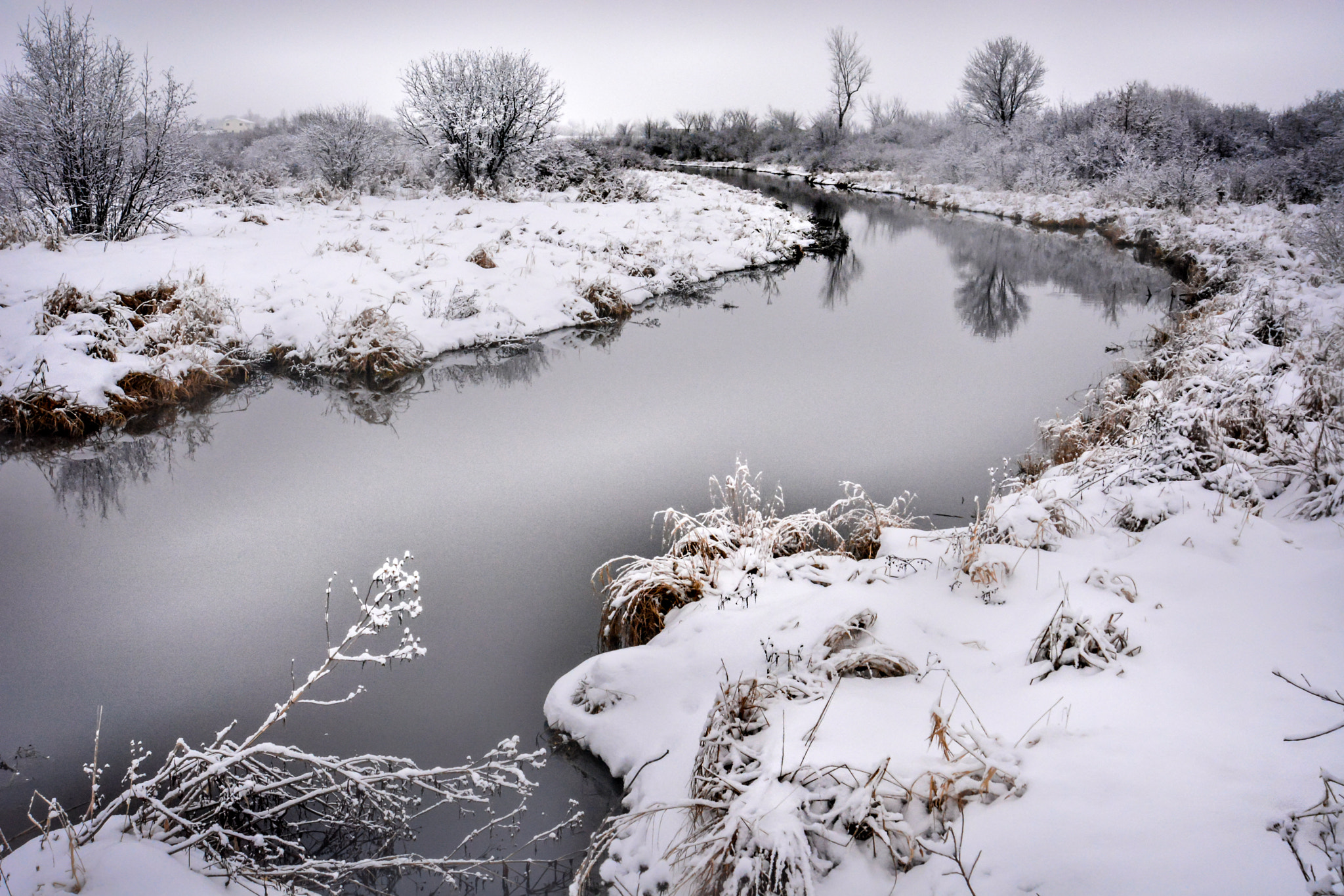 AF Zoom-Nikkor 24-120mm f/3.5-5.6D IF sample photo. Willow river photography