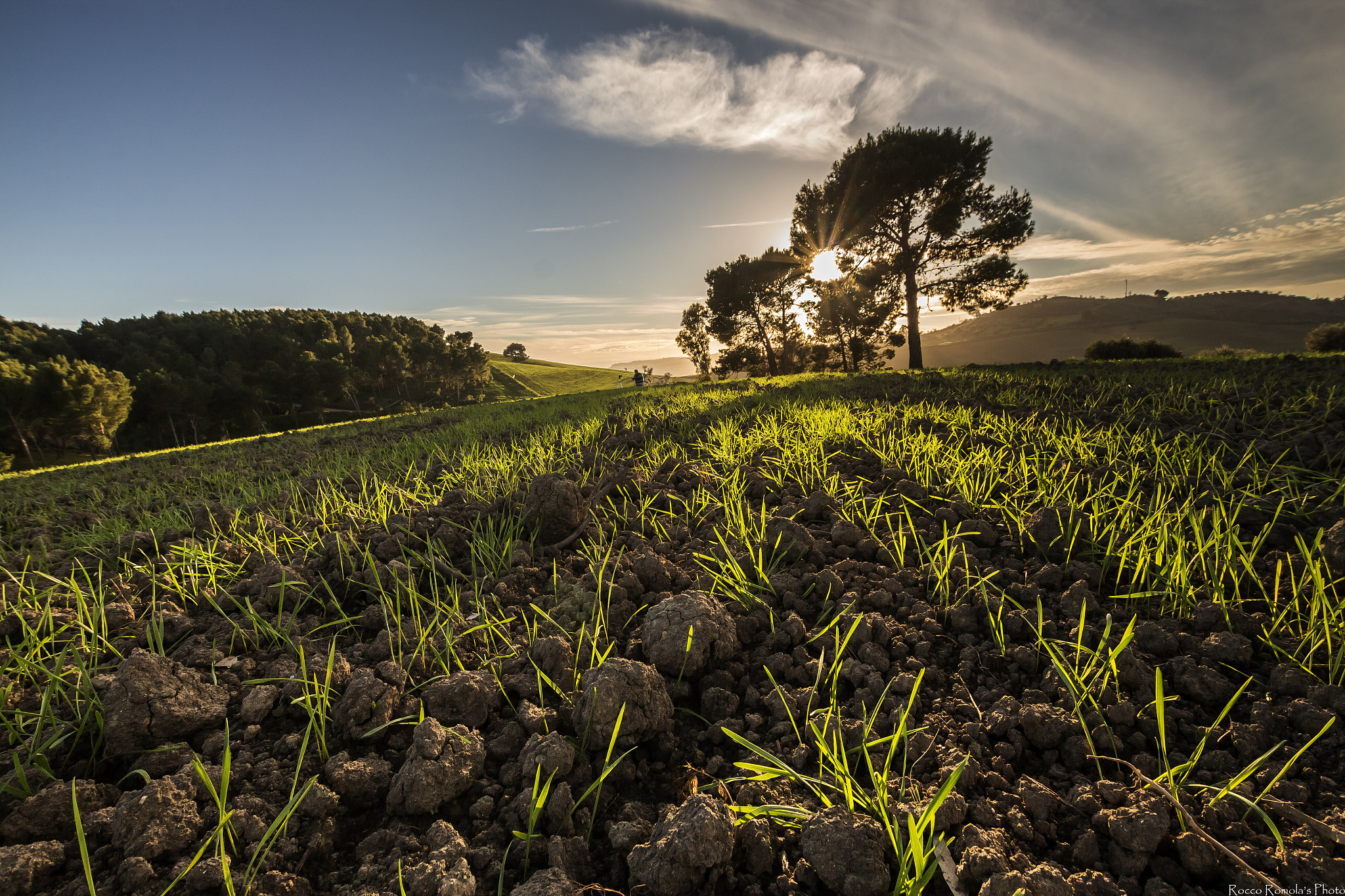 Canon EOS M sample photo. Nuova vita photography