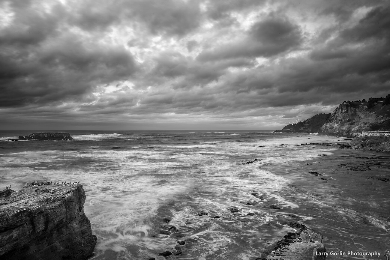 AF Zoom-Nikkor 28-70mm f/3.5-4.5D sample photo. Oregon coast 2 photography