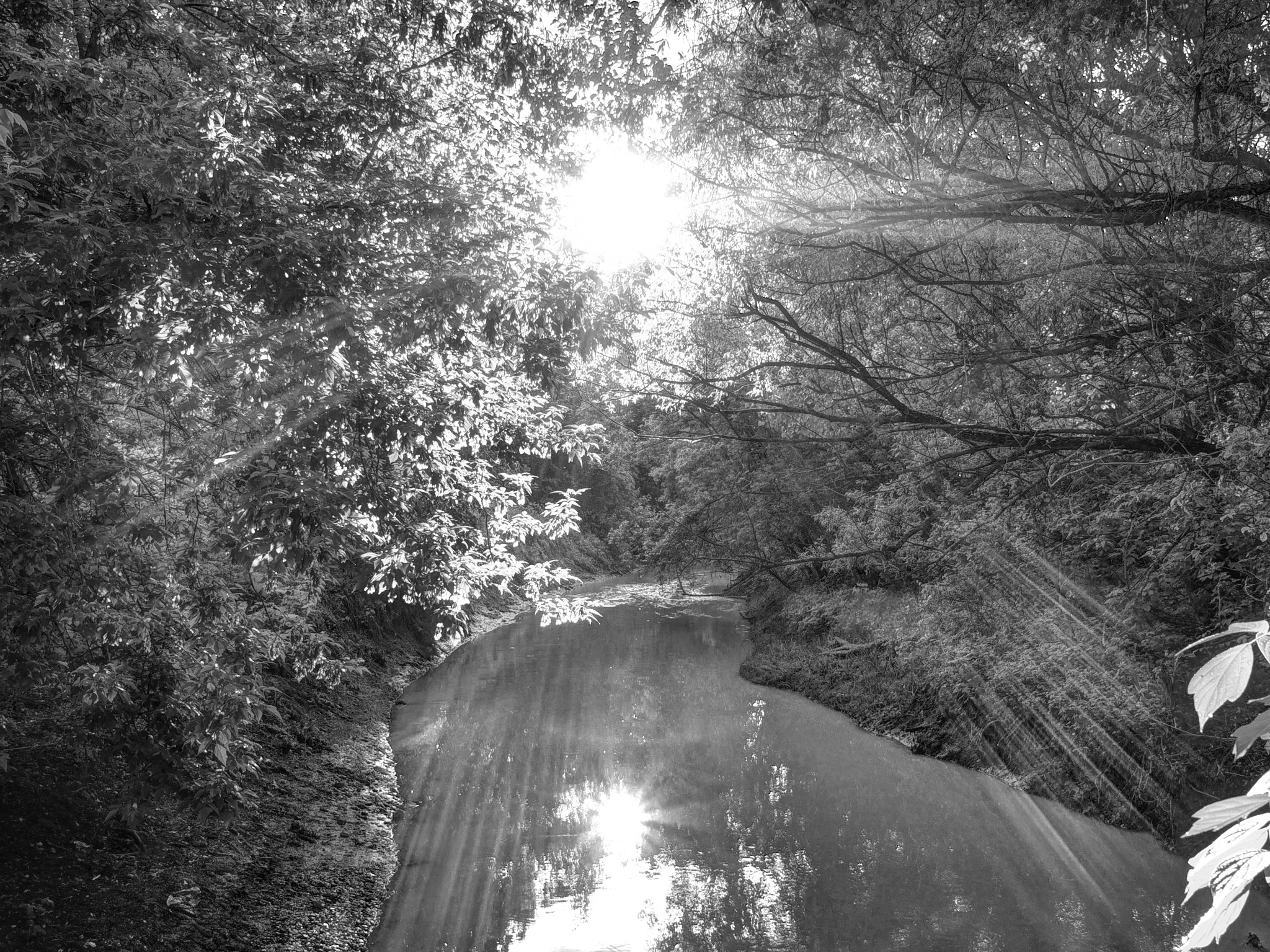 Olympus PEN E-PL5 + Olympus M.Zuiko Digital 17mm F1.8 sample photo. Rays on the river photography