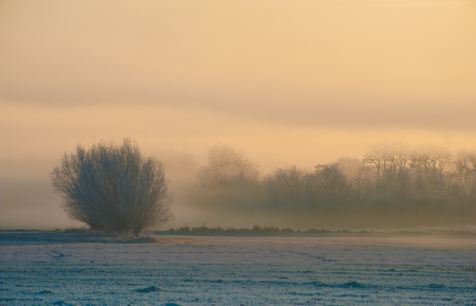 Nikon D700 + AF Nikkor 70-210mm f/4-5.6 sample photo. Fogy morning photography