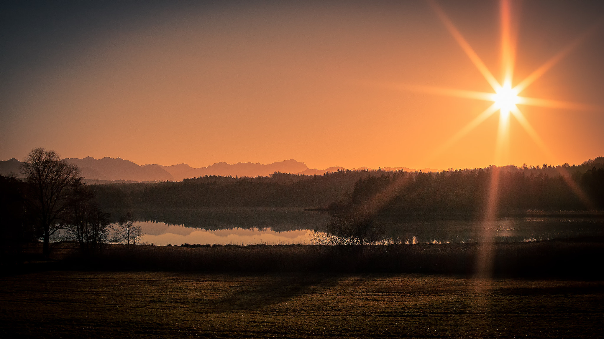Canon EOS 60D + Sigma 30mm f/1.4 DC HSM sample photo. [] photography