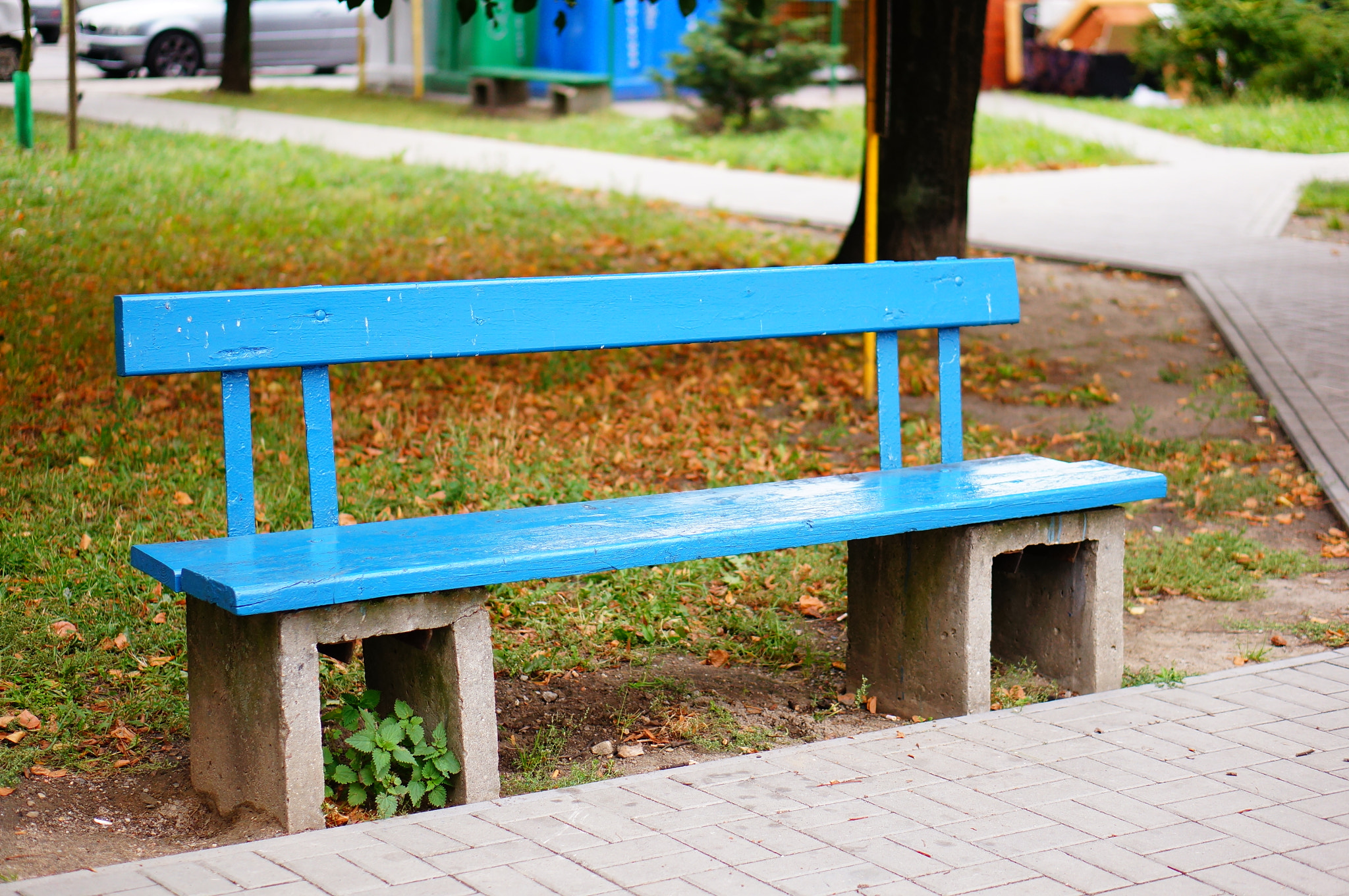 Sony Alpha NEX-5N + Sony E 50mm F1.8 OSS sample photo. Blue wooden bench photography