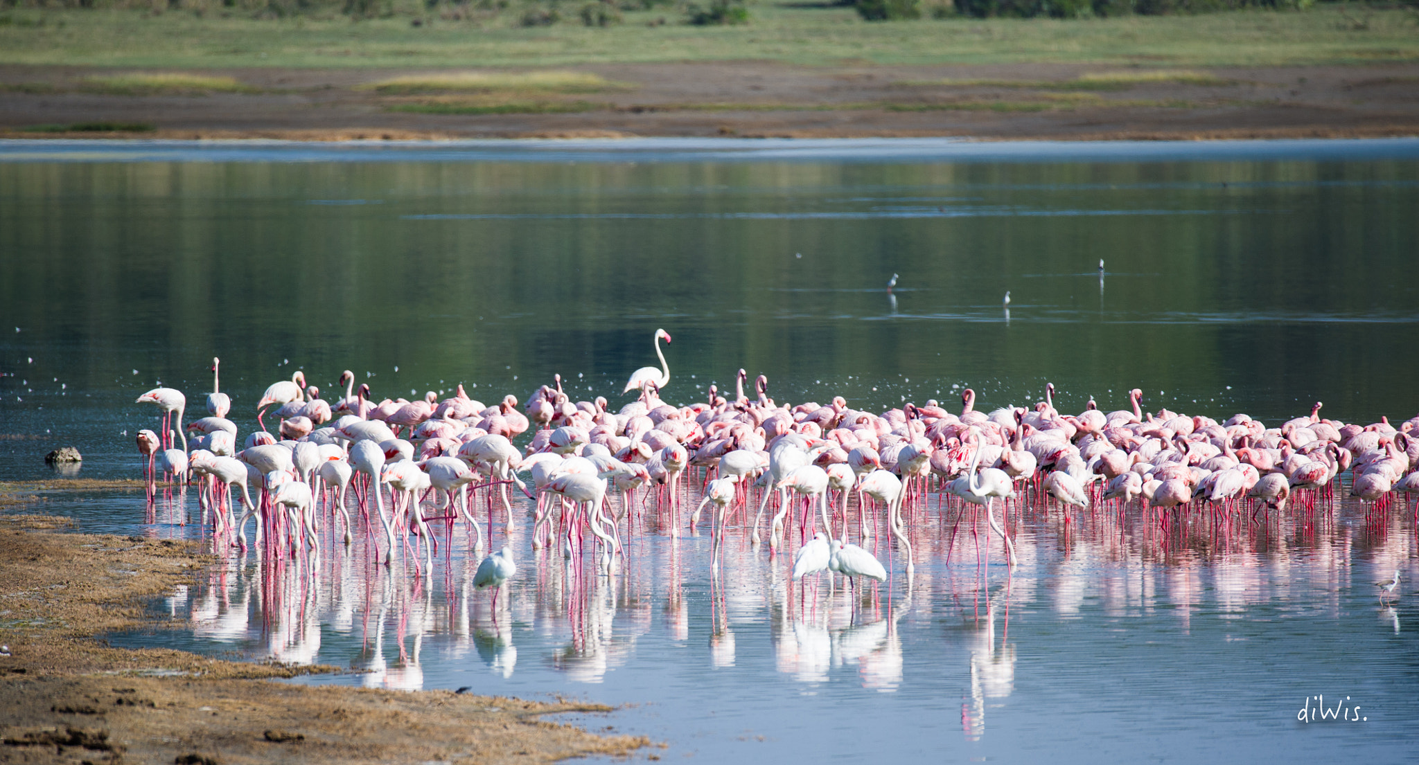 Sigma 150-600mm F5-6.3 DG OS HSM | S sample photo. Reflection photography