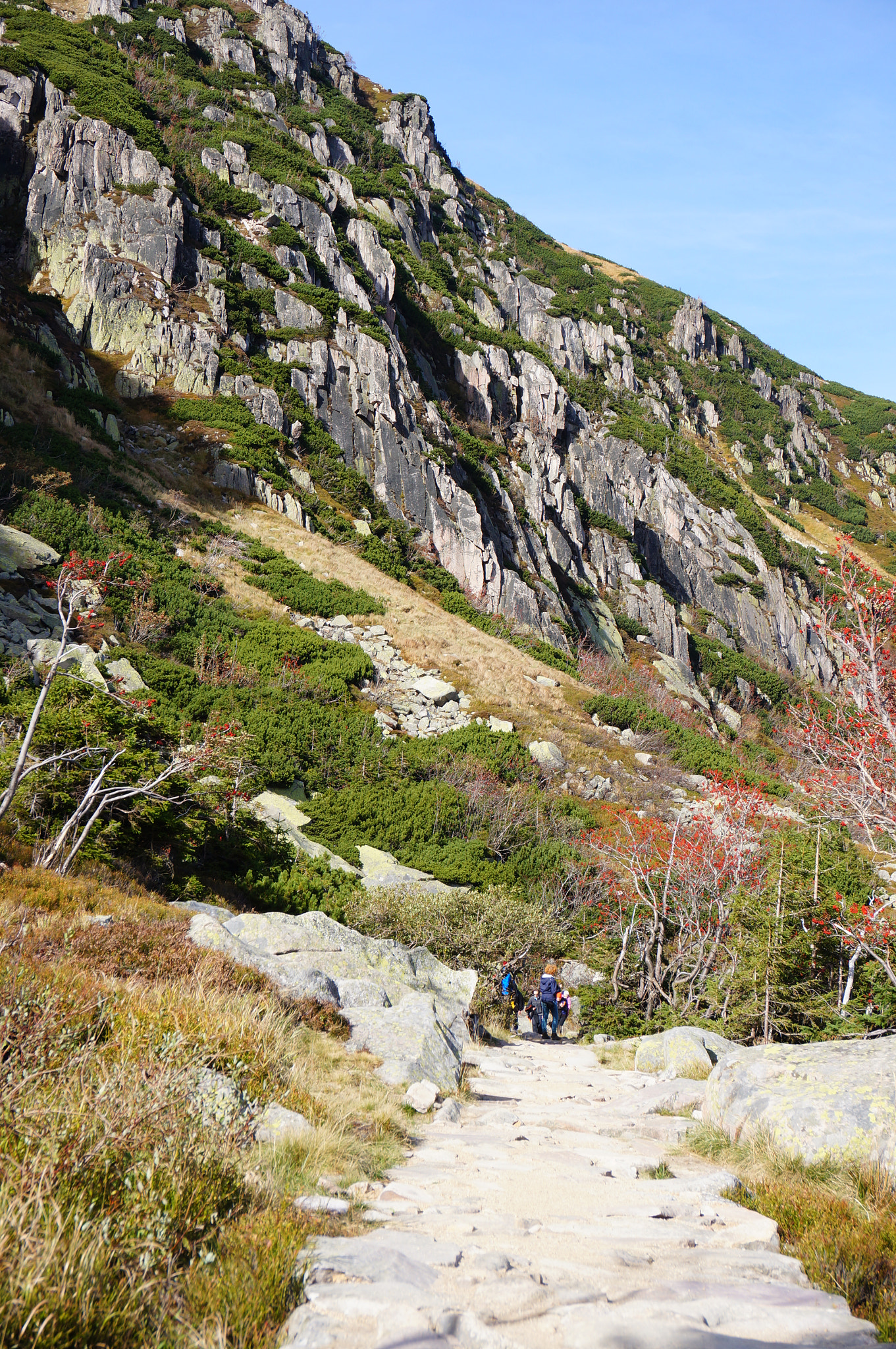 Sony Alpha NEX-5N + Sony E 18-50mm F4-5.6 sample photo. Mountain path photography