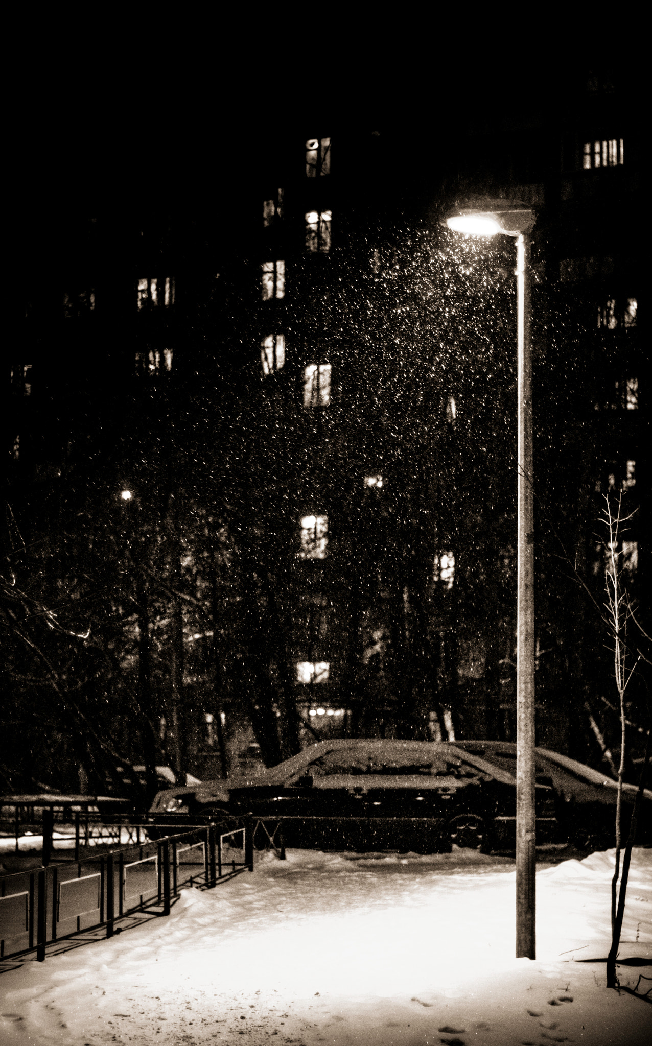 Sony Alpha DSLR-A500 + Sony 50mm F1.4 sample photo. Quiet snow photography