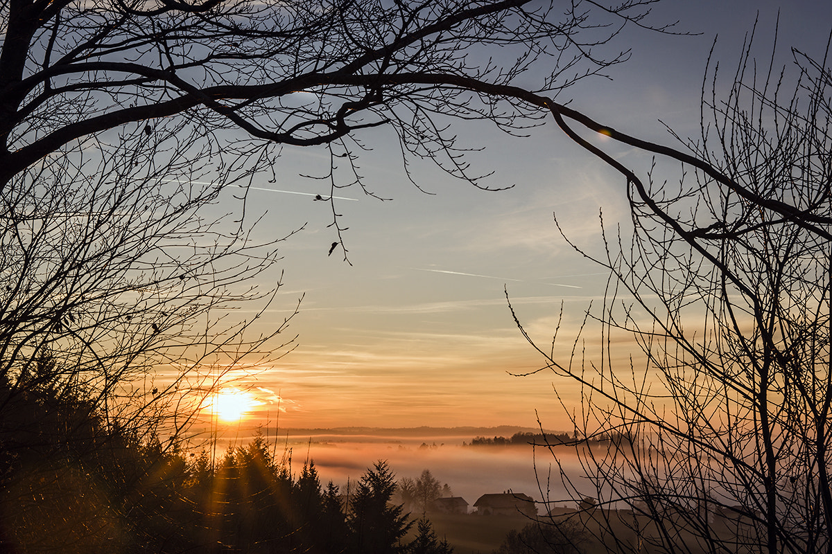 Sony a99 II + Sony Vario-Sonnar T* 24-70mm F2.8 ZA SSM II sample photo. The day is over. good night folks photography