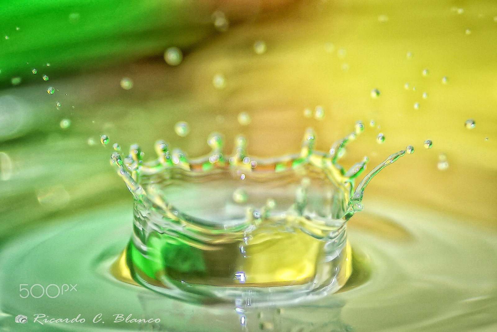 Sony SLT-A58 + Minolta AF 100mm F2.8 Macro [New] sample photo. Jugando con agua... photography
