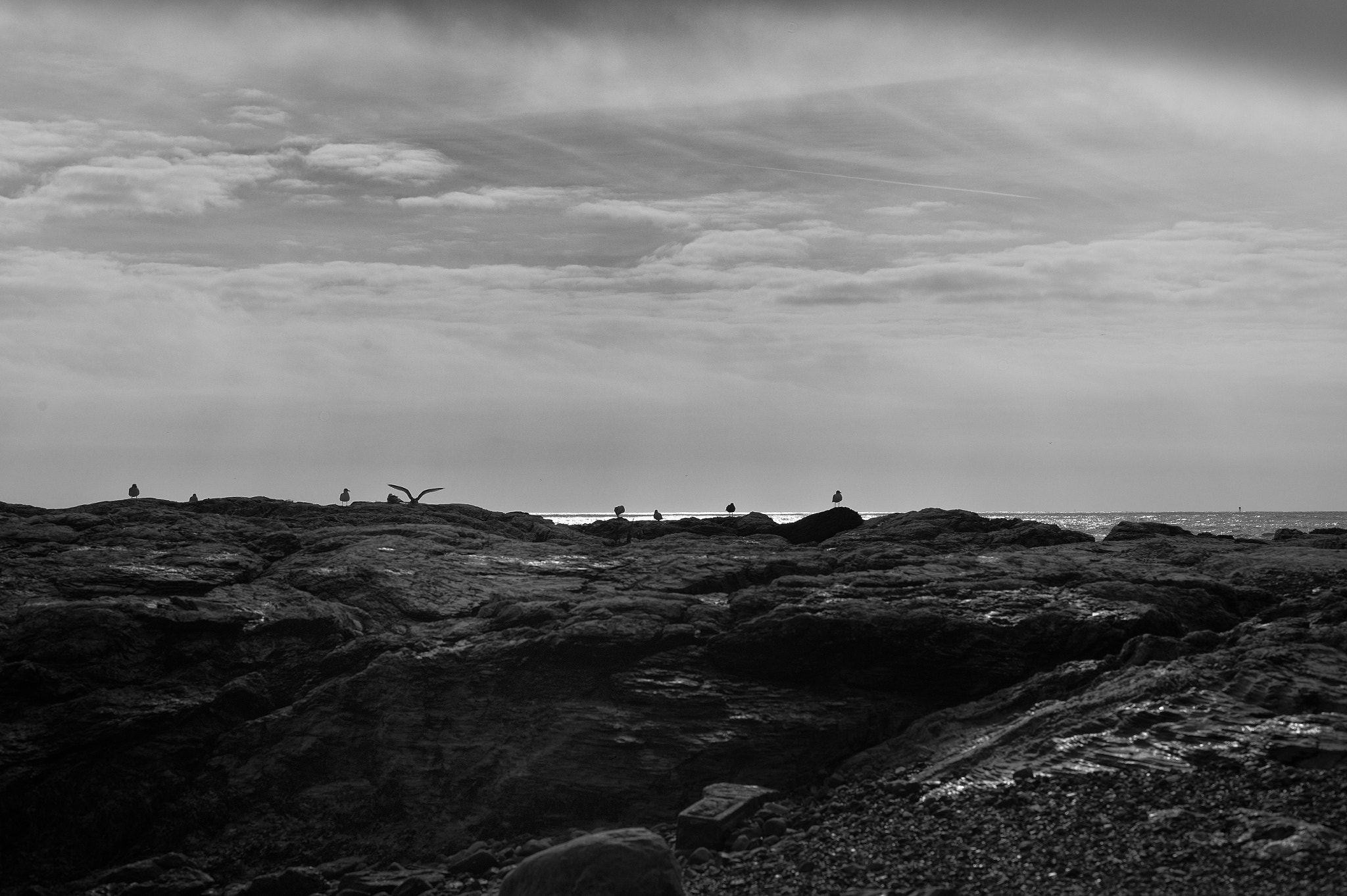 Leica M9 + Leica Summarit-M 75mm F2.5 sample photo. Coastal defense force photography