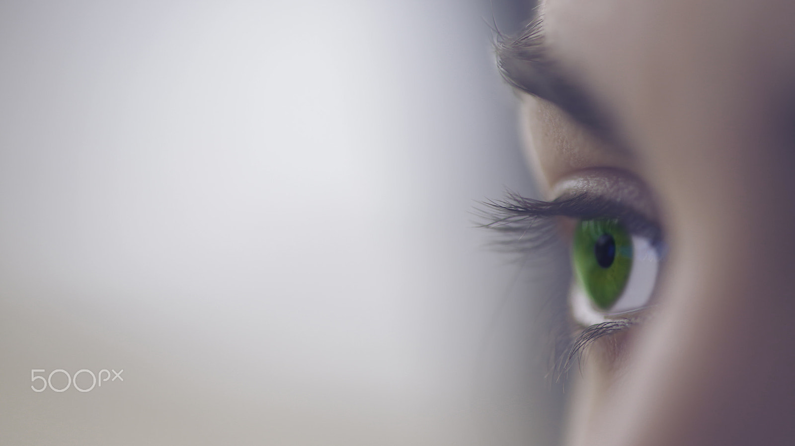 Canon EOS 6D + ZEISS Makro-Planar T* 100mm F2 sample photo. Green eye photography