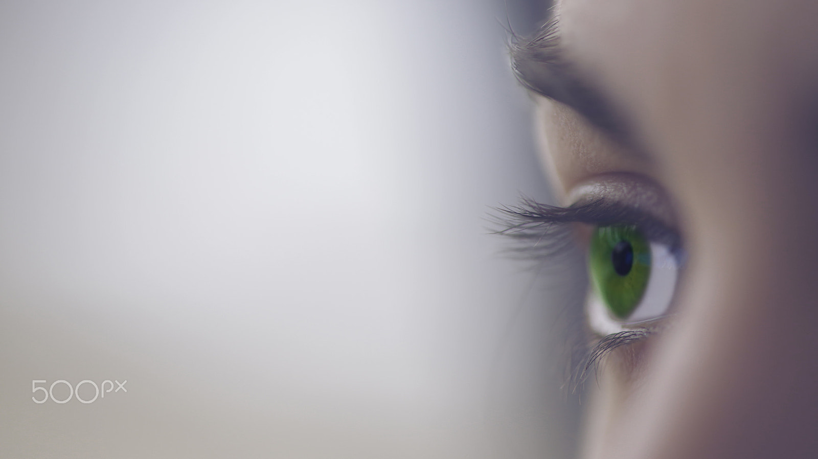 ZEISS Makro-Planar T* 100mm F2 sample photo. Green eye photography