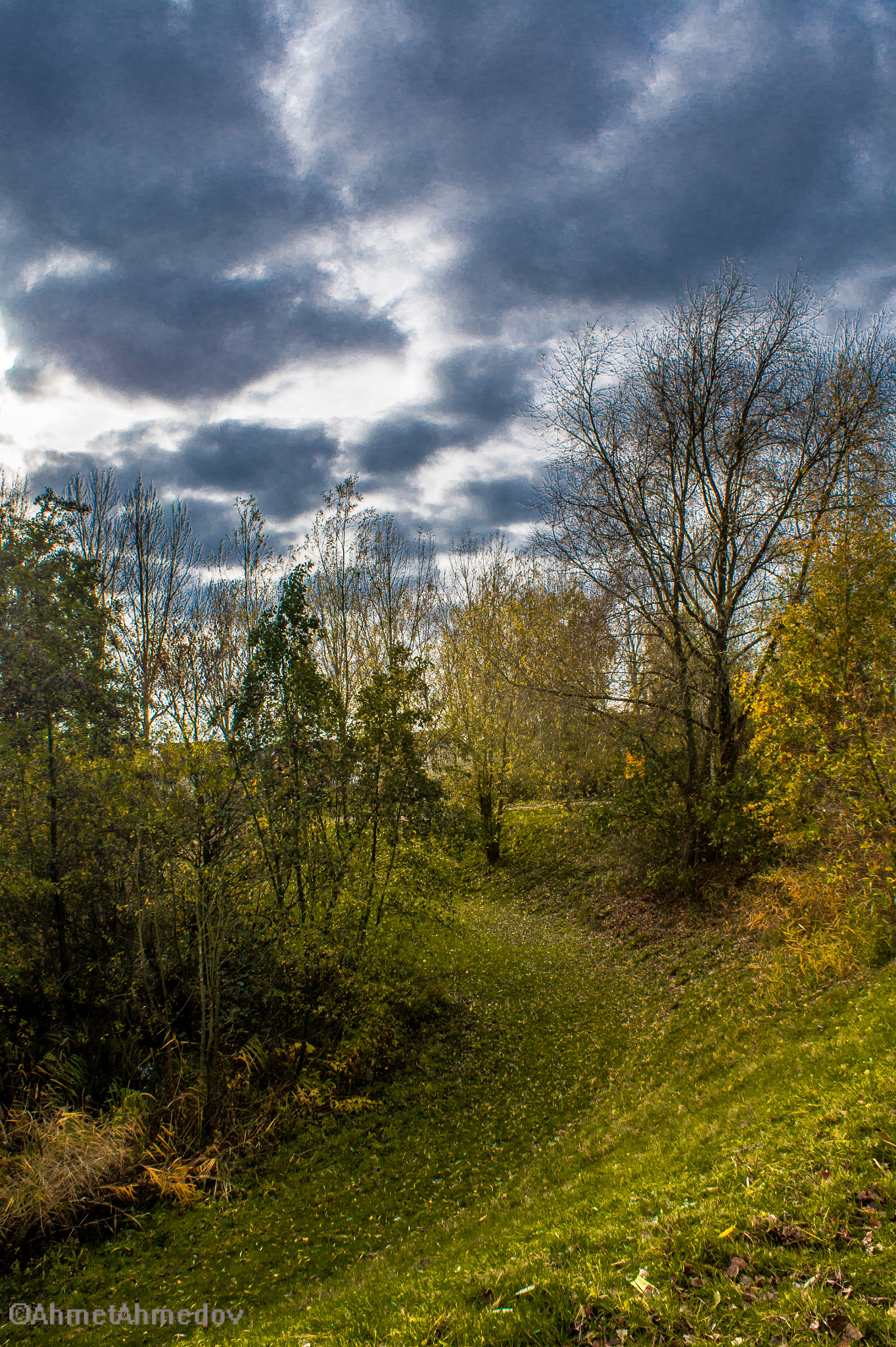 Sony Alpha DSLR-A550 sample photo. Yaz sonu photography