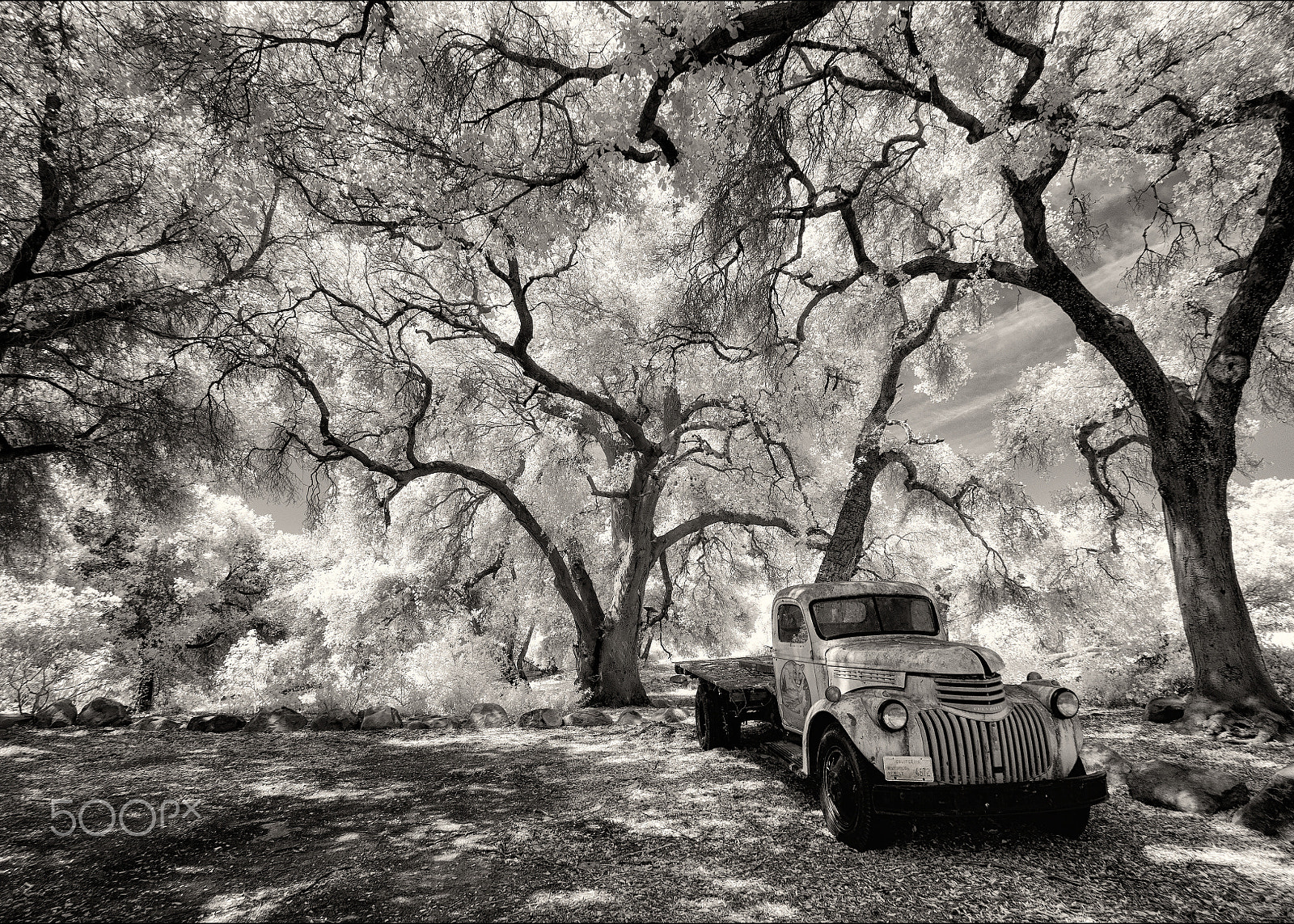 Sony Alpha NEX-6 + Sony E 10-18mm F4 OSS sample photo. California historical vehicle photography