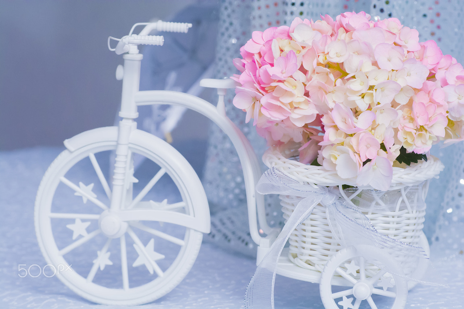 Nikon D7100 + AF Micro-Nikkor 105mm f/2.8 sample photo. Decoración photography
