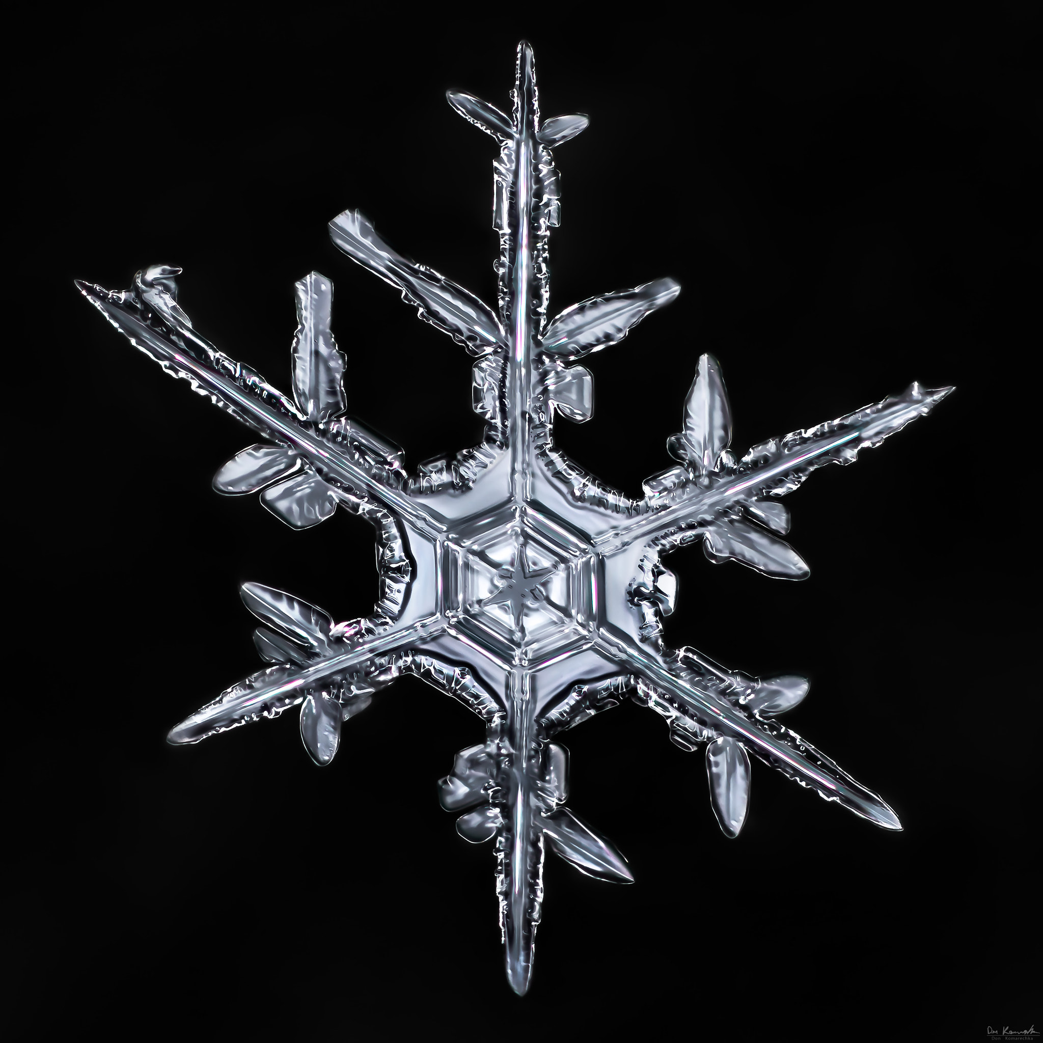 Canon MP-E 65mm F2.5 1-5x Macro Photo sample photo. Snowflake-a-day #40 photography