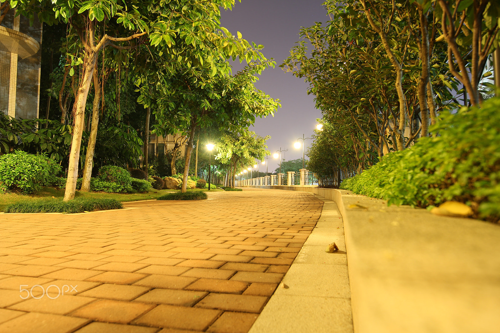 Canon EOS 60D + Canon EF 300mm f/2.8L sample photo. In the park photography