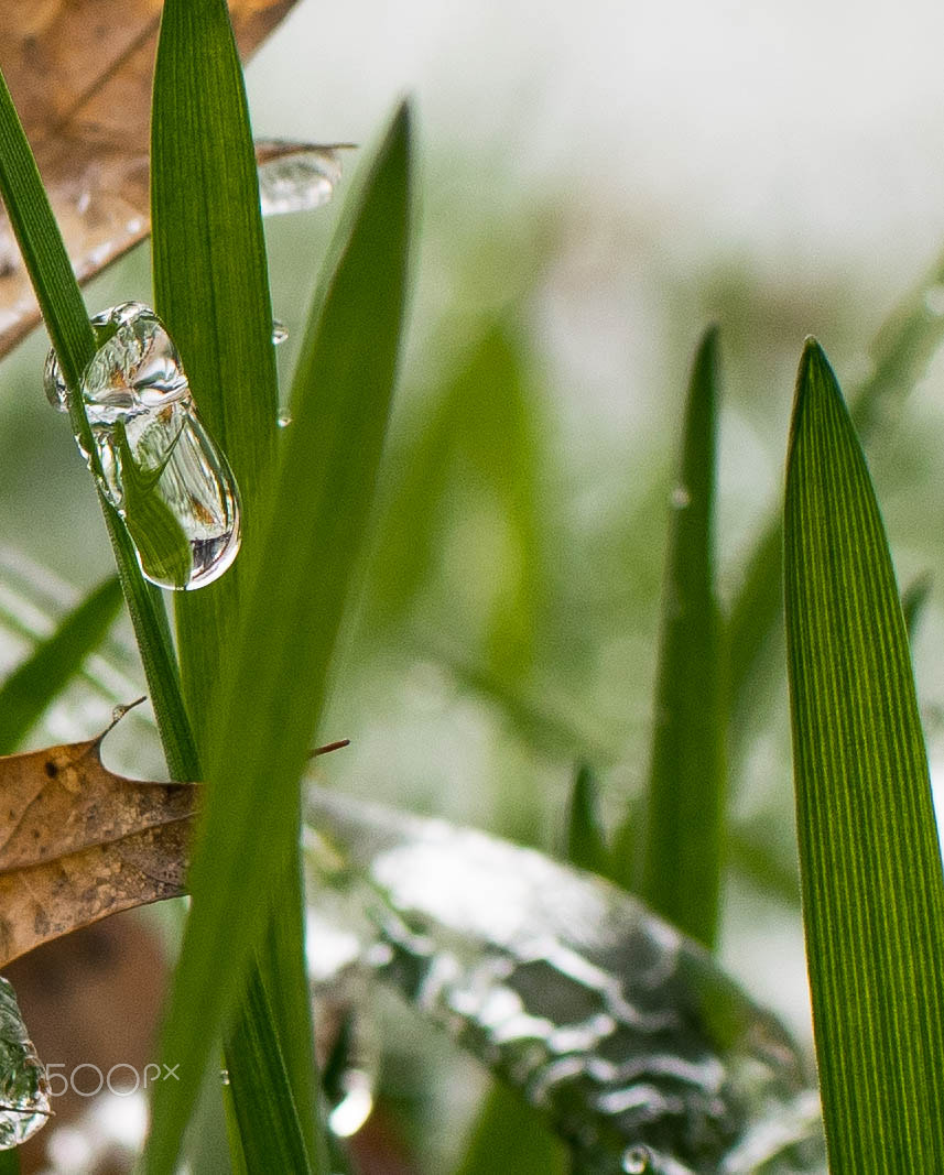 Nikon D5300 + AF-S Nikkor 35mm f/1.8G sample photo. Frozen droplet photography