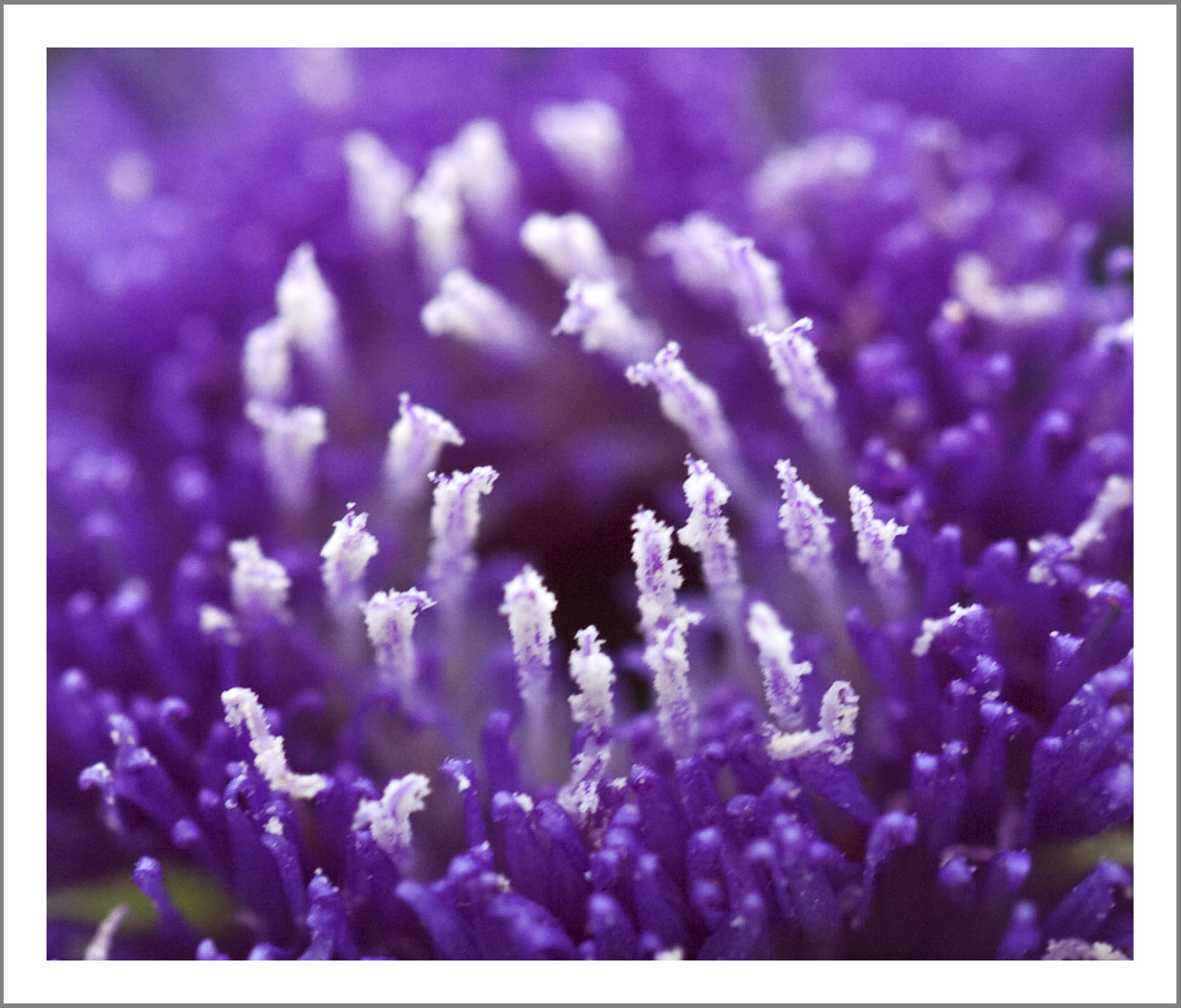 Nikon D2Hs sample photo