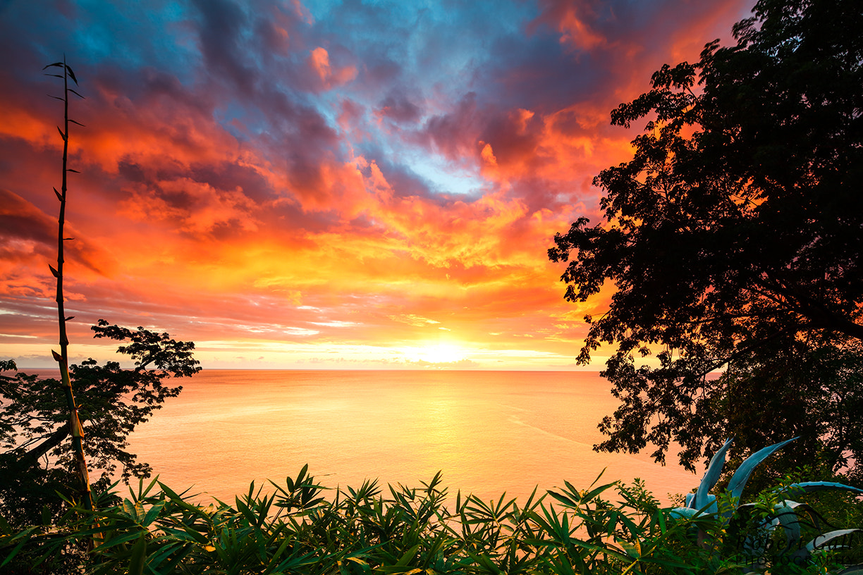 Canon TS-E 17mm F4L Tilt-Shift sample photo. Sunset near salisbury, dominica photography