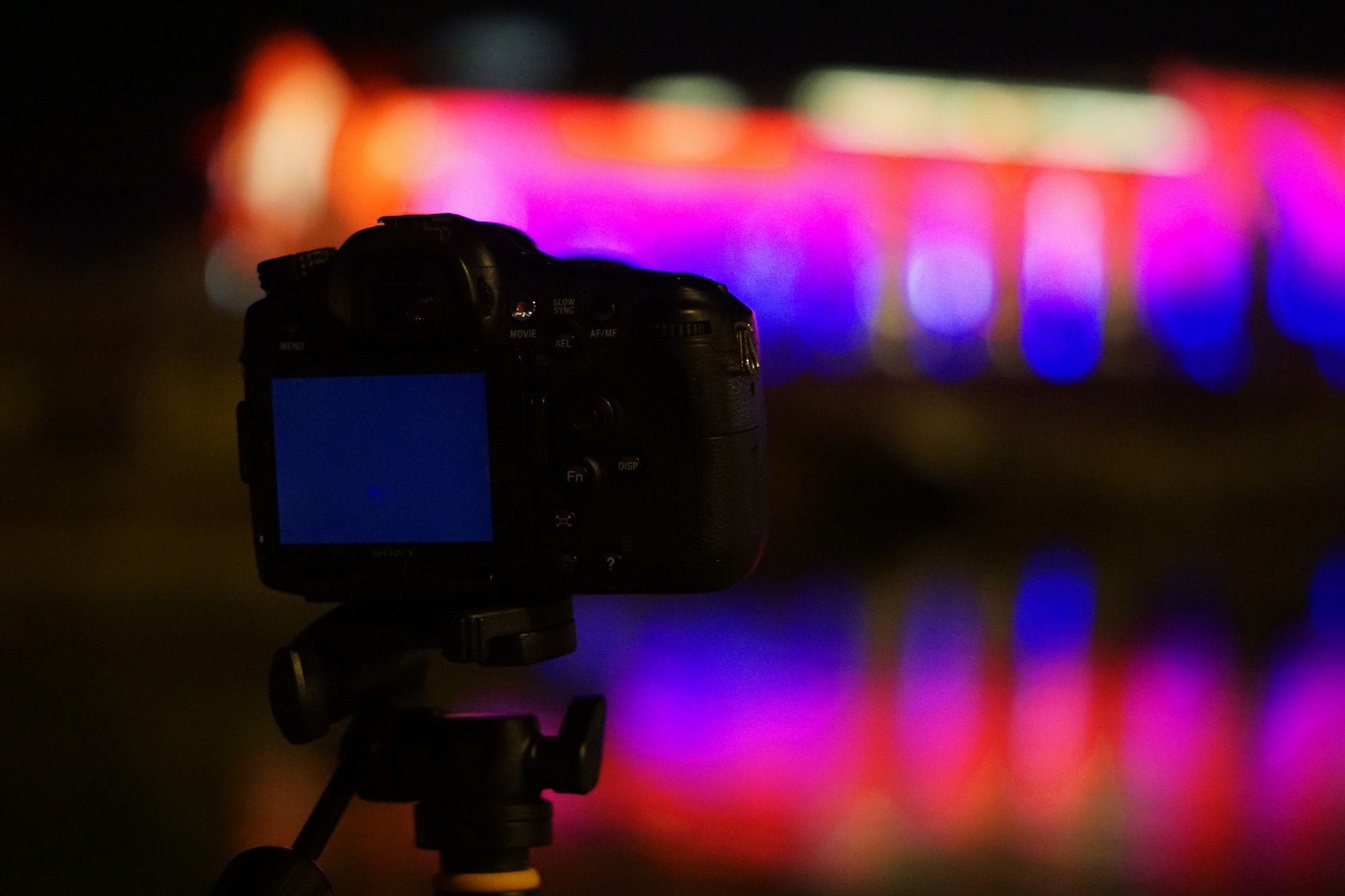 Sony DT 50mm F1.8 SAM sample photo. What is your shot today. photography