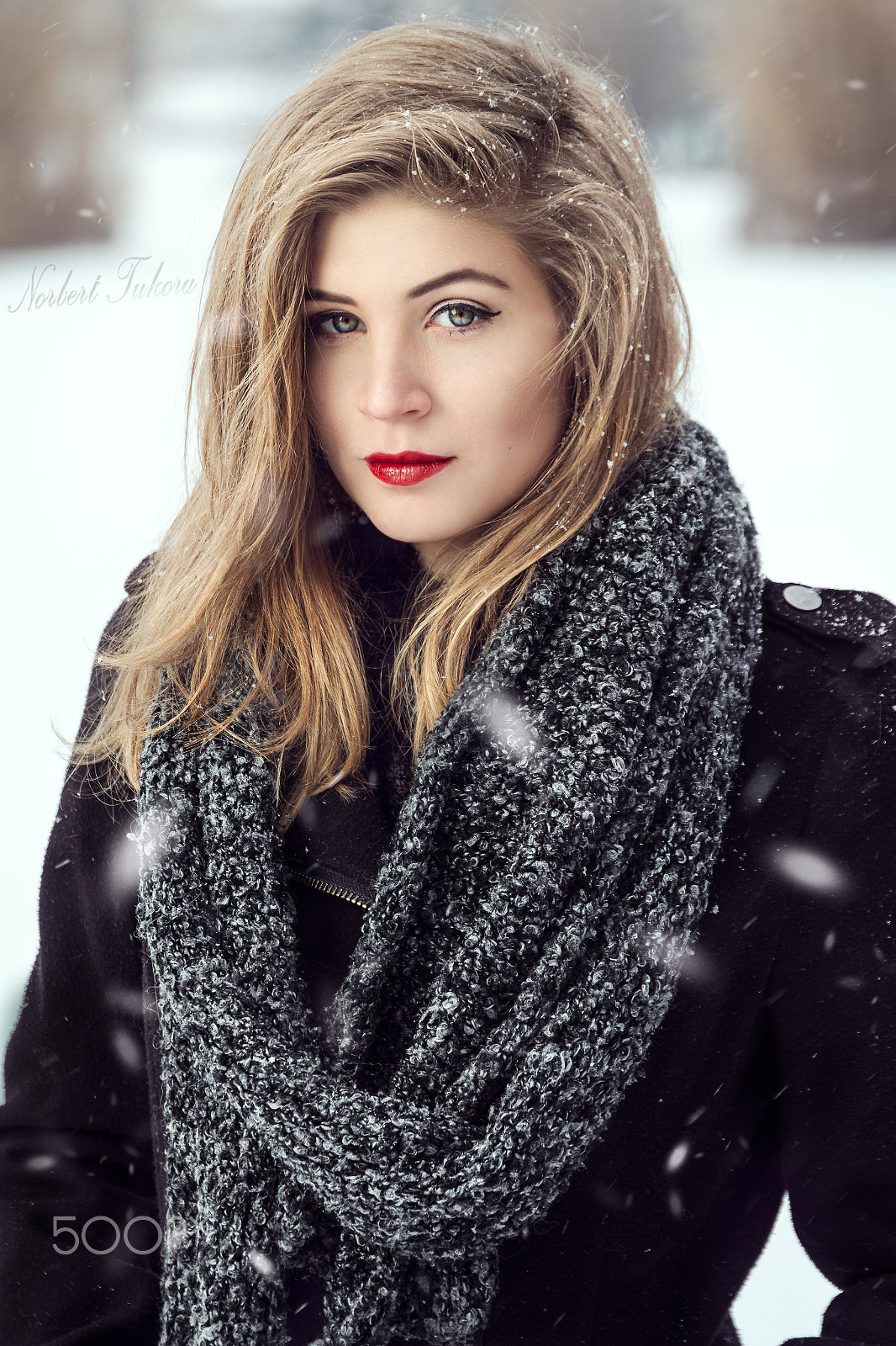 Sigma 24-105mm f/4 DG OS HSM | A sample photo. Fruzsina photography