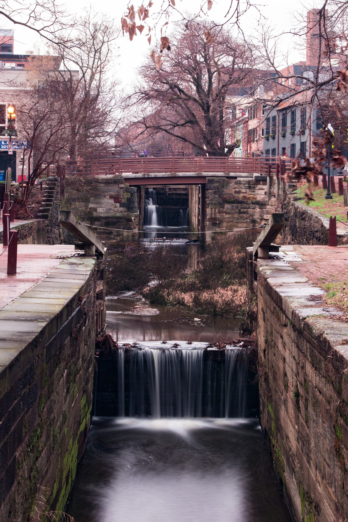 Sigma 18-50mm f/2.8 Macro sample photo. The third lock photography