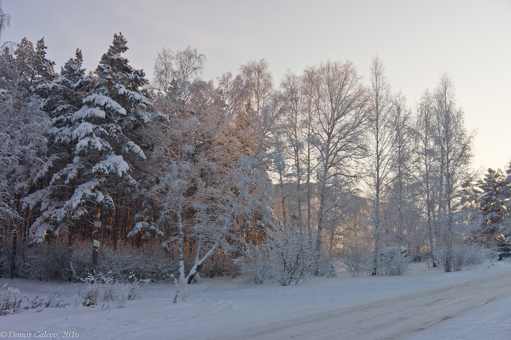 Sony Alpha NEX-7 sample photo. Frosty morning photography