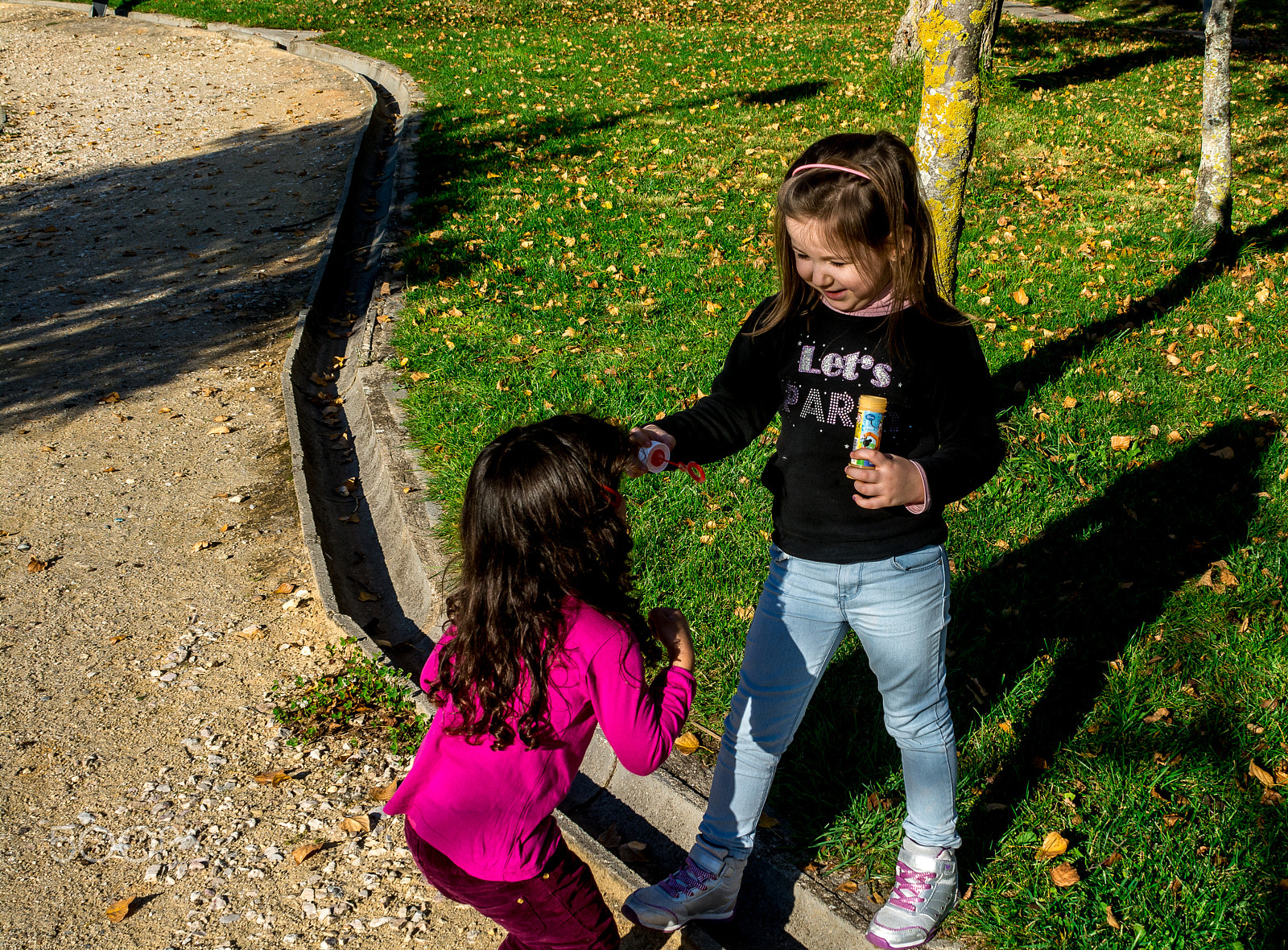 Nikon AF-S Nikkor 28-70mm F2.8 ED-IF sample photo. Happy childhood in the park photography
