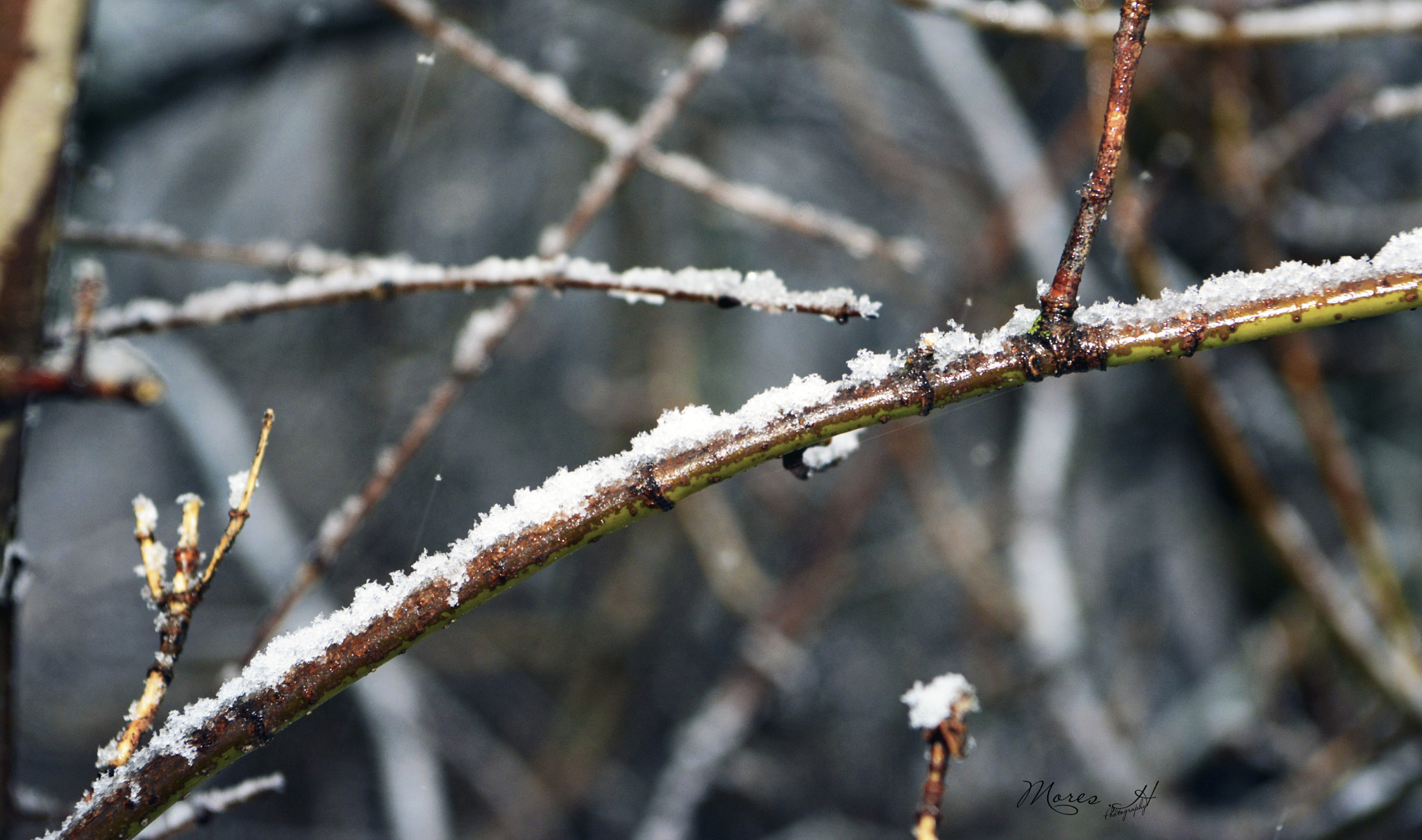 Nikon AF-S Nikkor 24-70mm F2.8E ED VR sample photo. Snow photography
