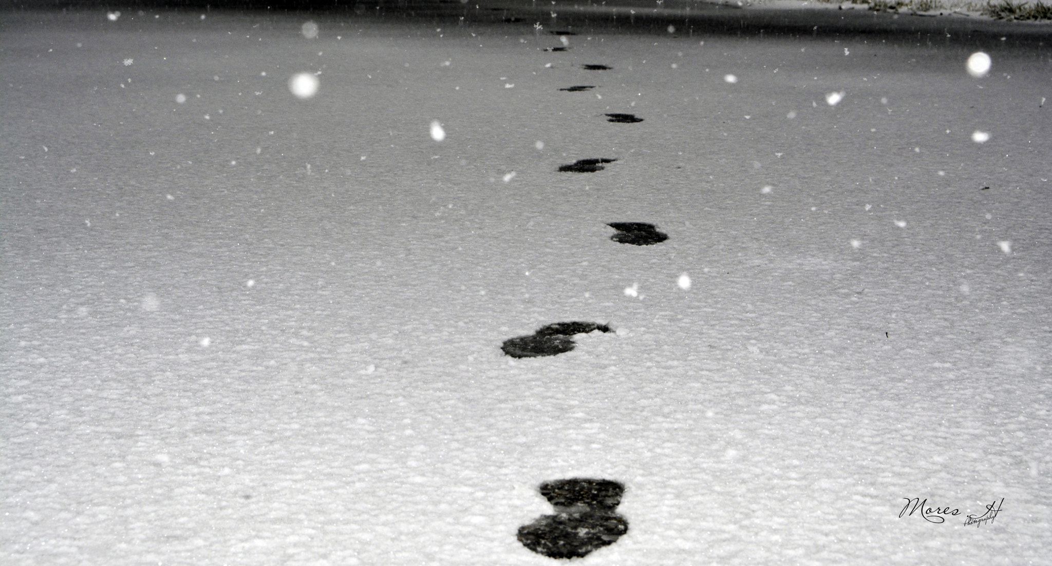 Nikon AF-S Nikkor 24-70mm F2.8E ED VR sample photo. Footprints on the snow photography