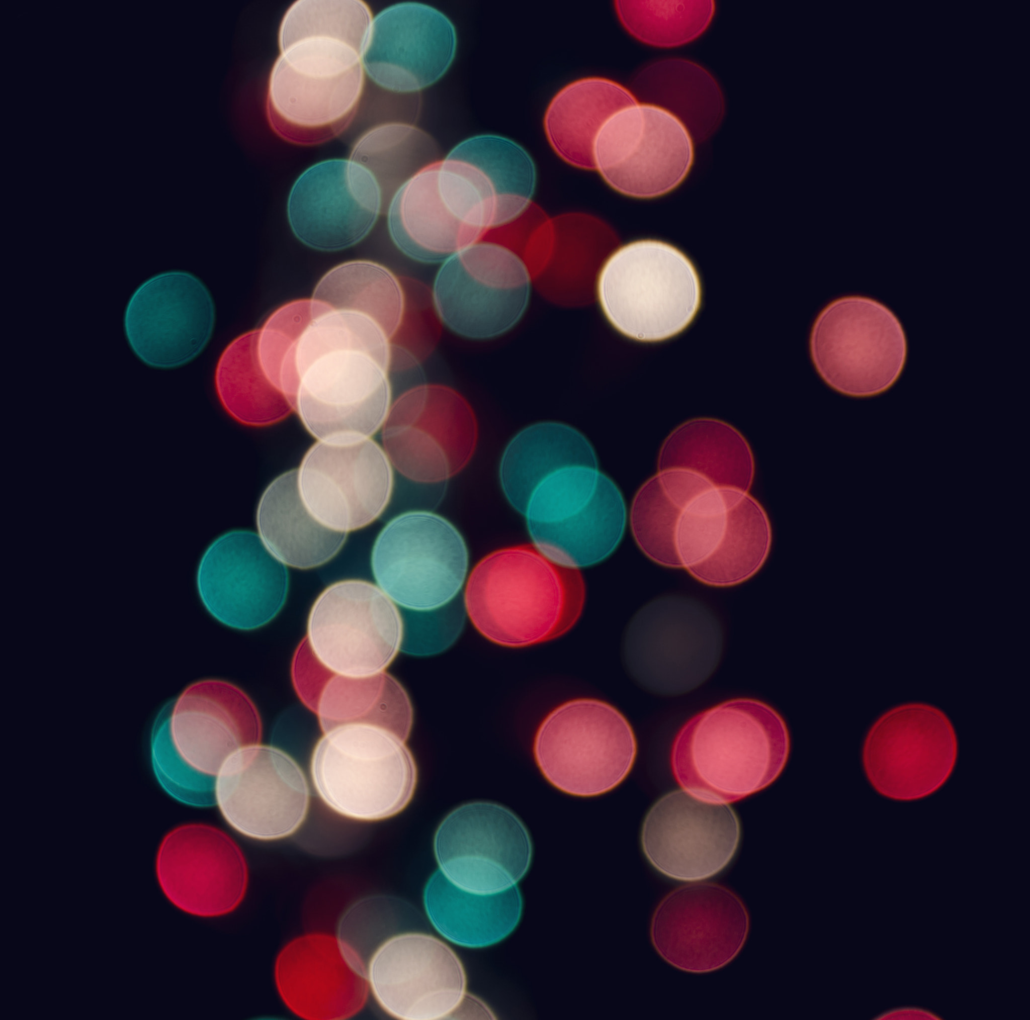 AF Zoom-Nikkor 28-85mm f/3.5-4.5 sample photo. Bokeh photography