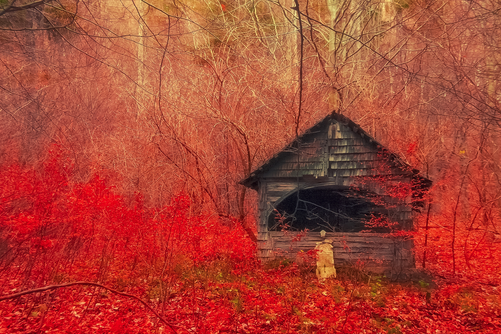 Olympus PEN E-P1 sample photo. Abandoned in red photography