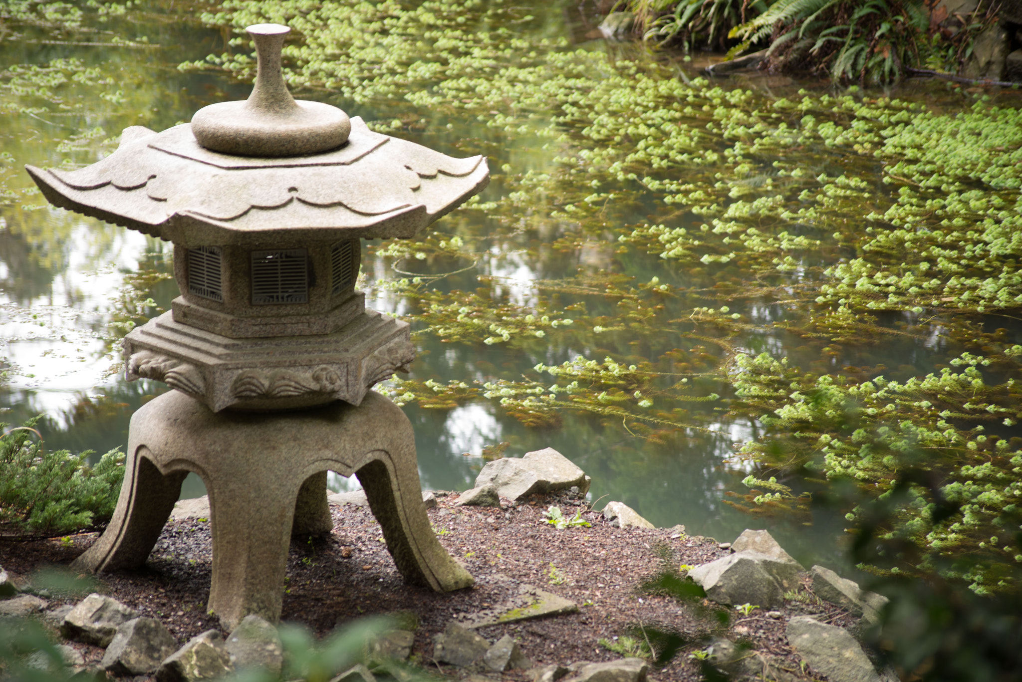 Sigma 70-300mm F4-5.6 APO DG Macro sample photo. Japanese garden photography