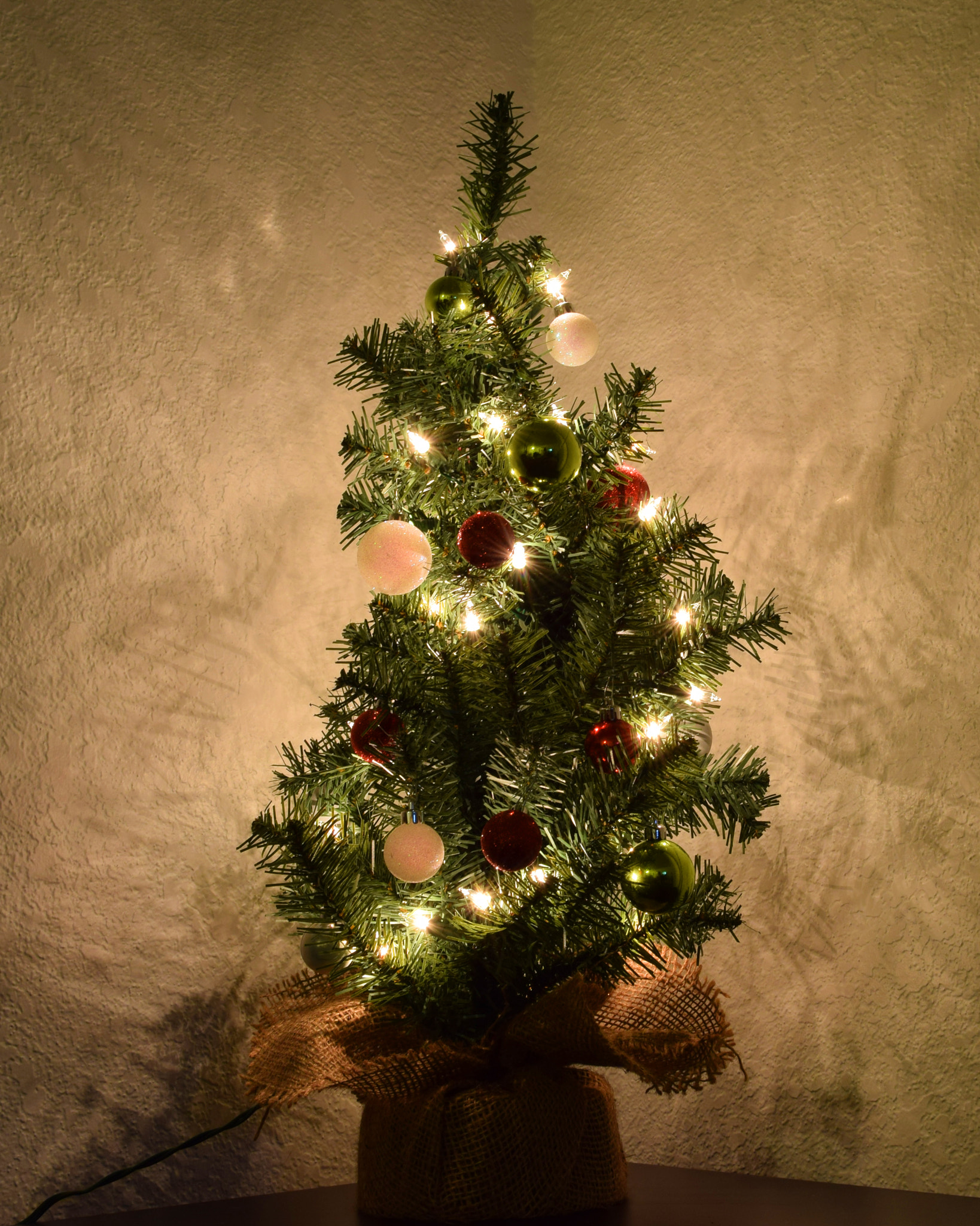 Sigma 17-70mm F2.8-4 DC Macro OS HSM | C sample photo. No presents!? photography