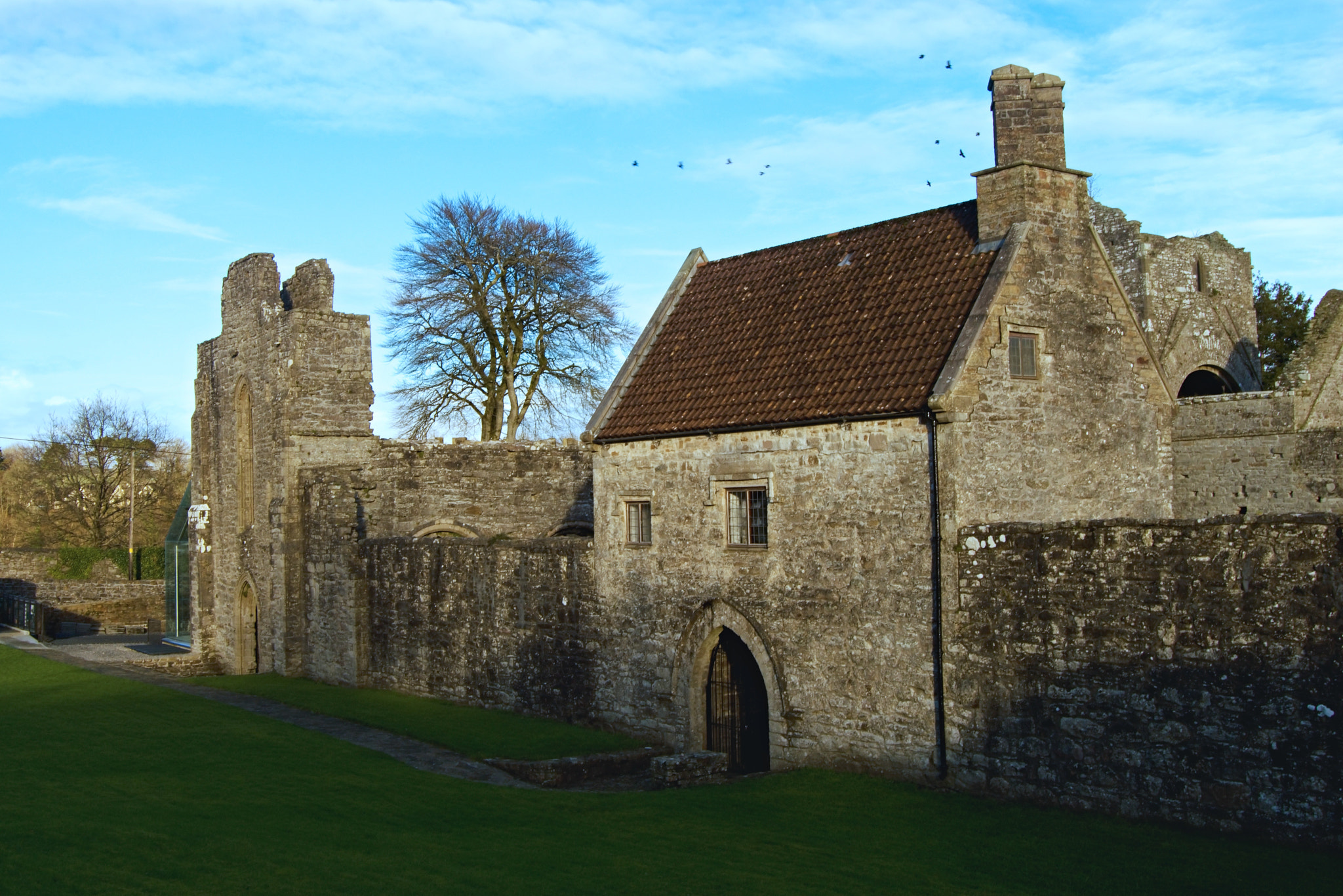 18.00 - 55.00 mm f/3.5 - 5.6 sample photo. Boyle abbey photography