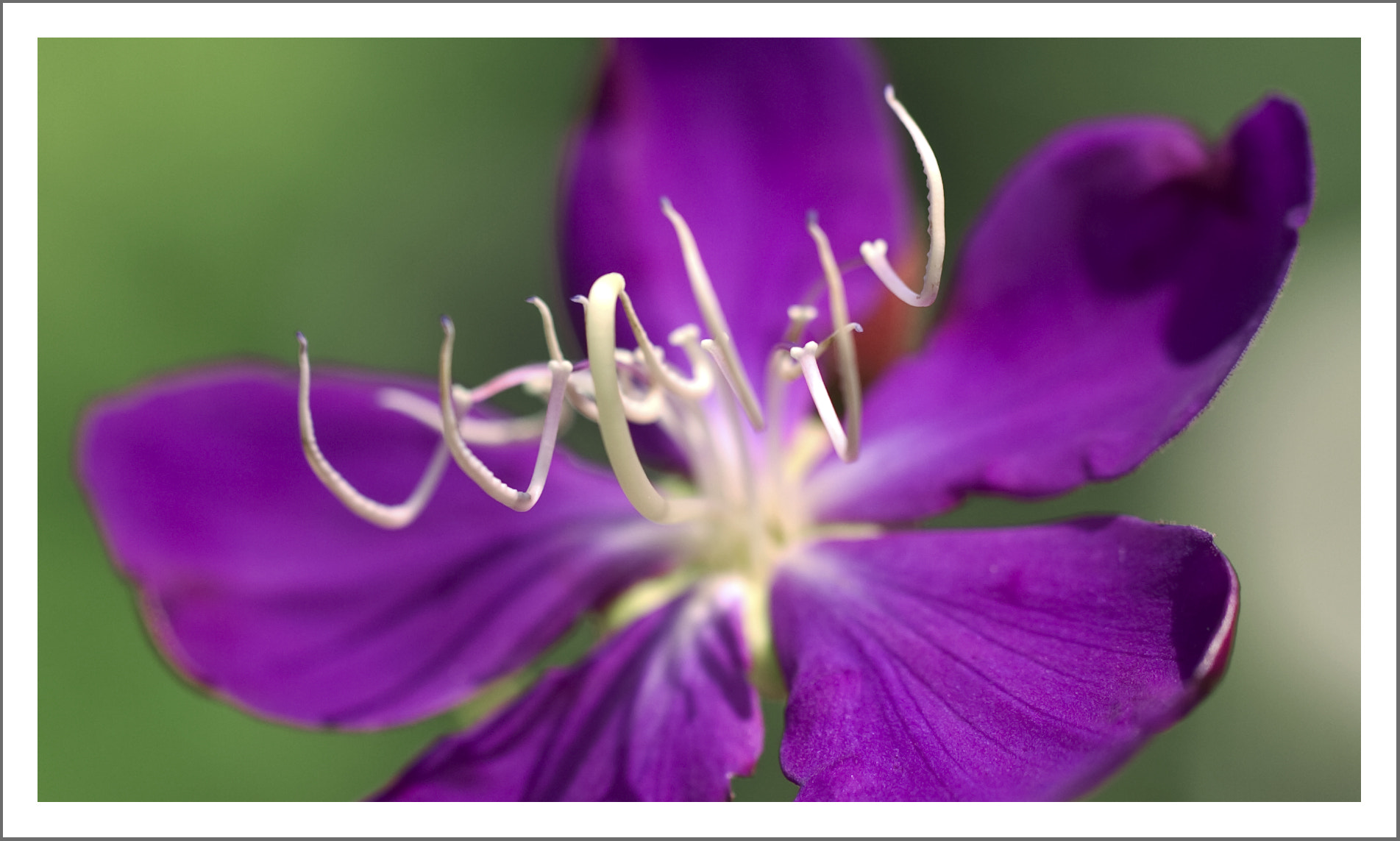 Nikon D2Hs sample photo