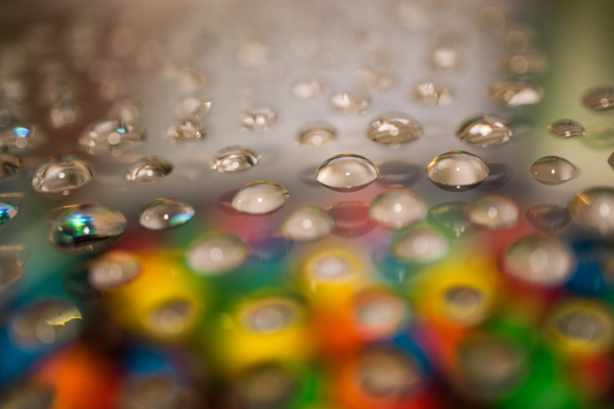 Sony Alpha NEX-7 + Sony E 30mm F3.5 Macro sample photo. 17233115968.jpg photography