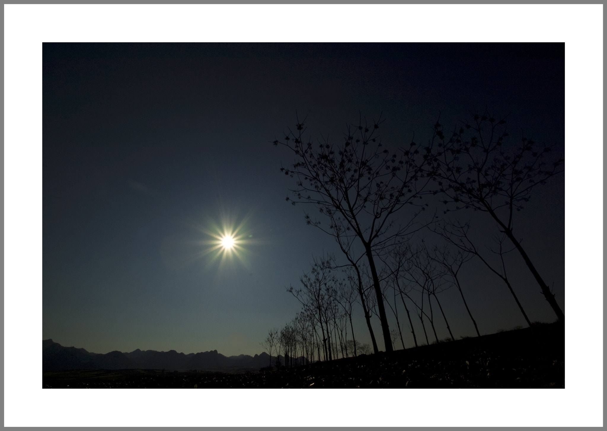 Nikon D2Hs sample photo