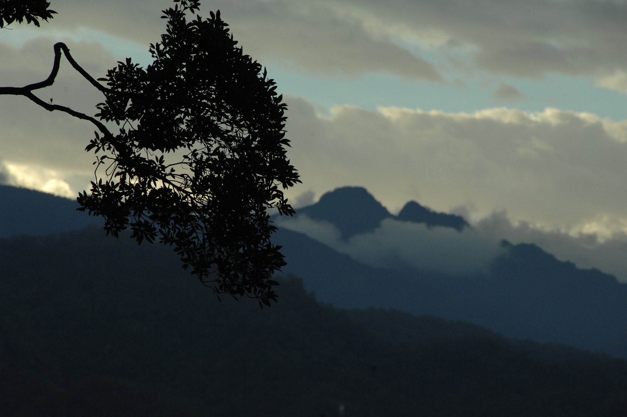 Nikon D2X sample photo. .. photography