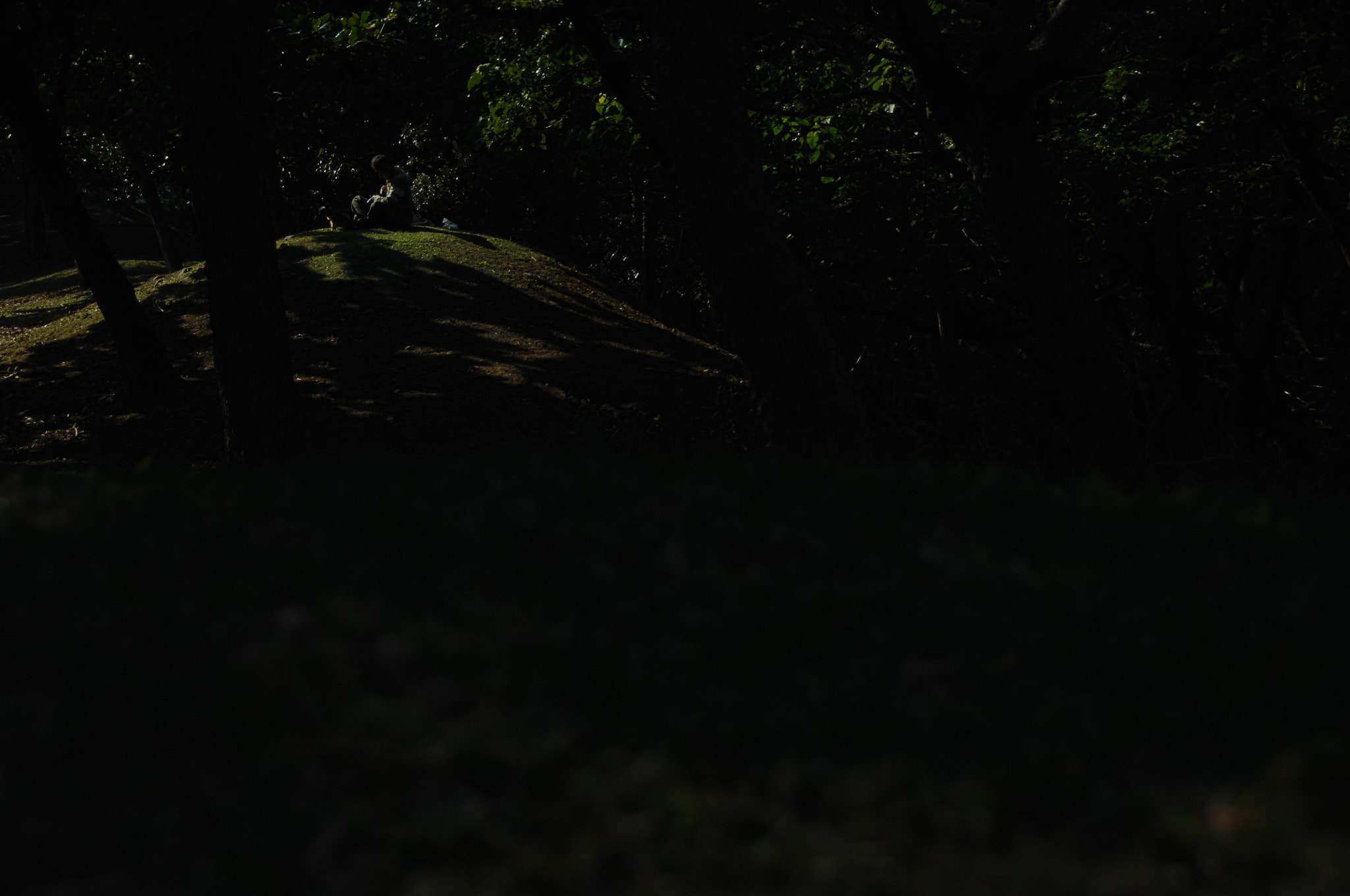 Nikon D2X sample photo. .. photography