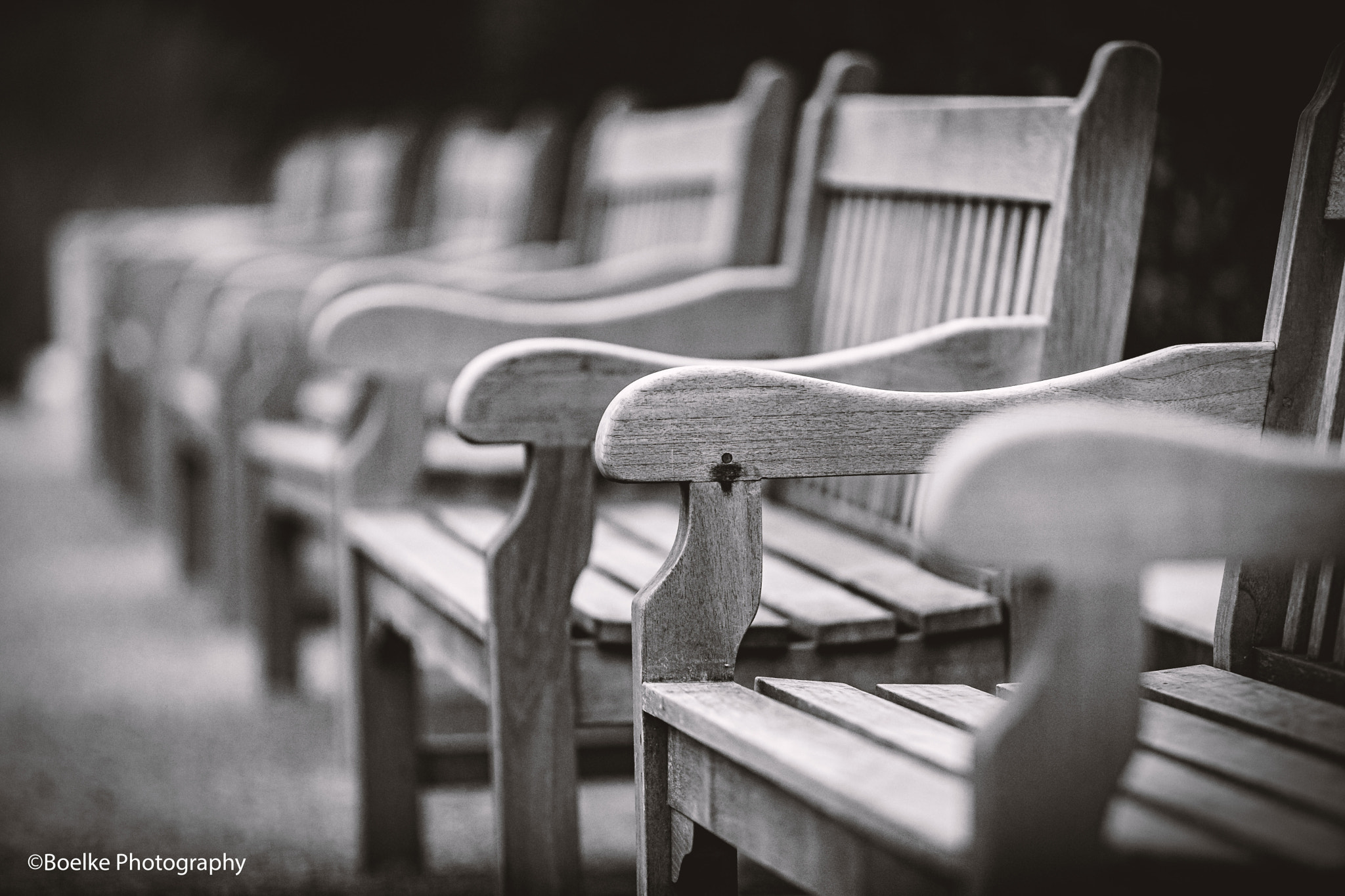 Canon EOS-1Ds Mark III sample photo. Alone photography