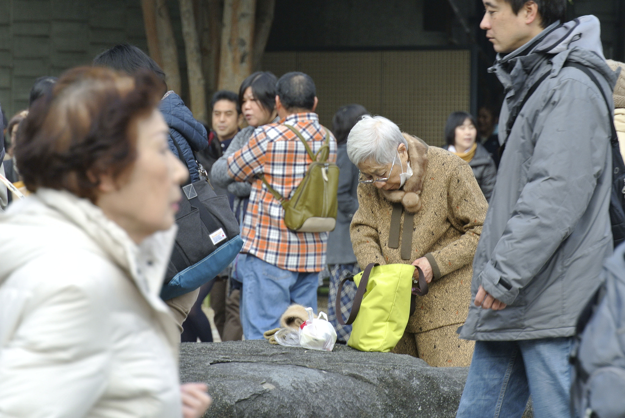 Nikon 1 Nikkor VR 30-110mm F3.8-5.6 sample photo. Snapshot photography